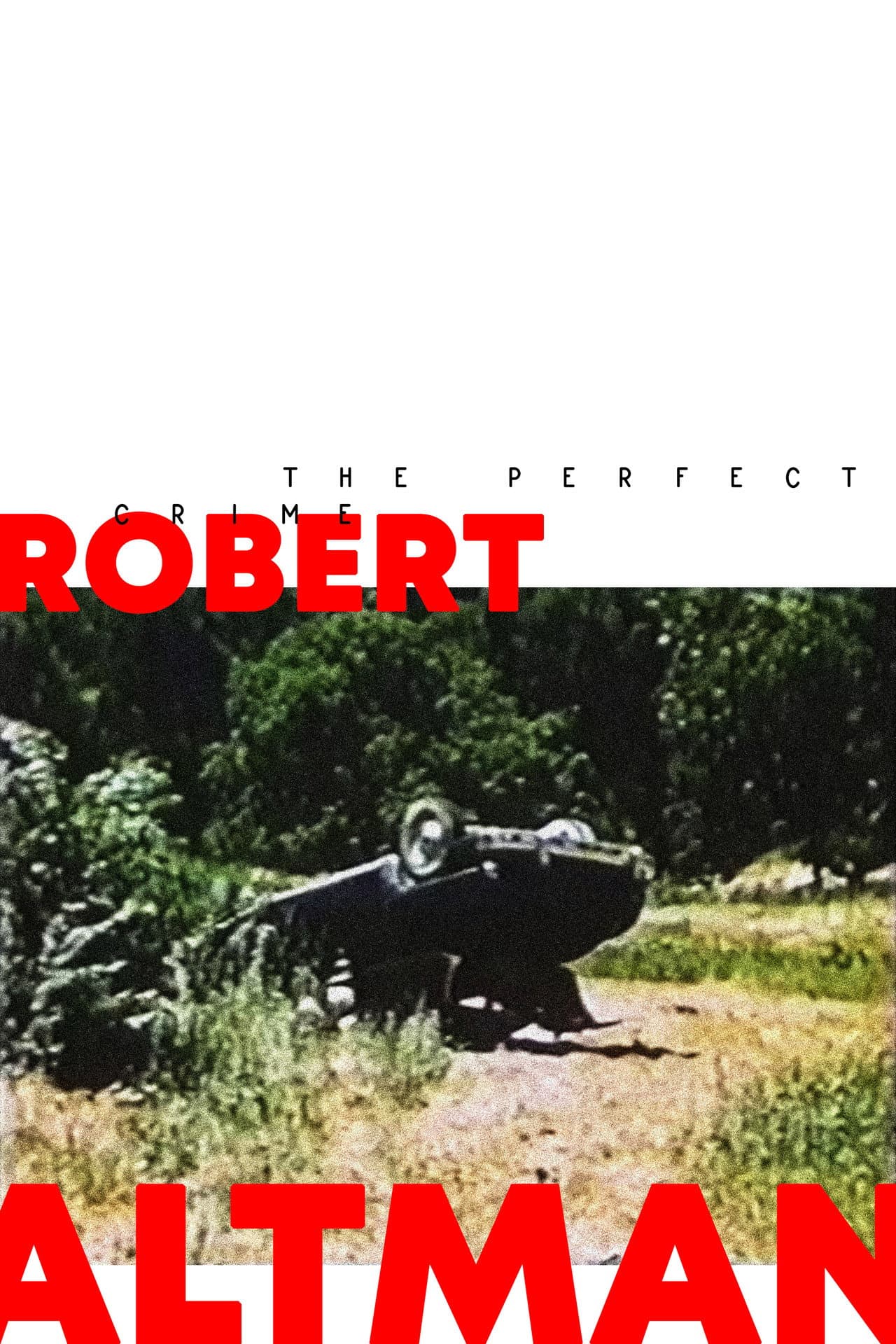 The Perfect Crime preview 1