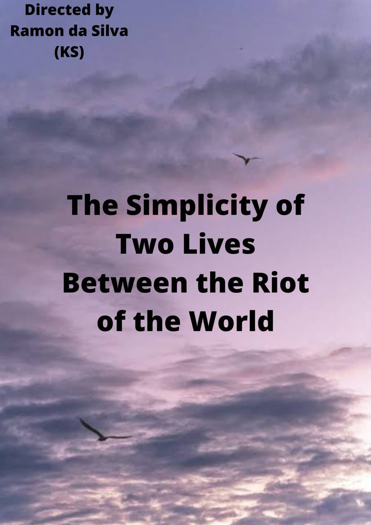 The Simplicity of Two Lives Between the Riot of the World preview 2