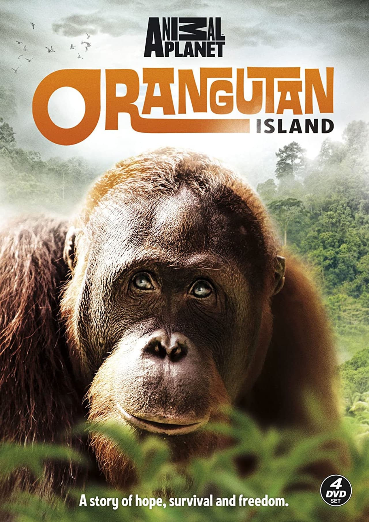 Orangutan Island preview 1