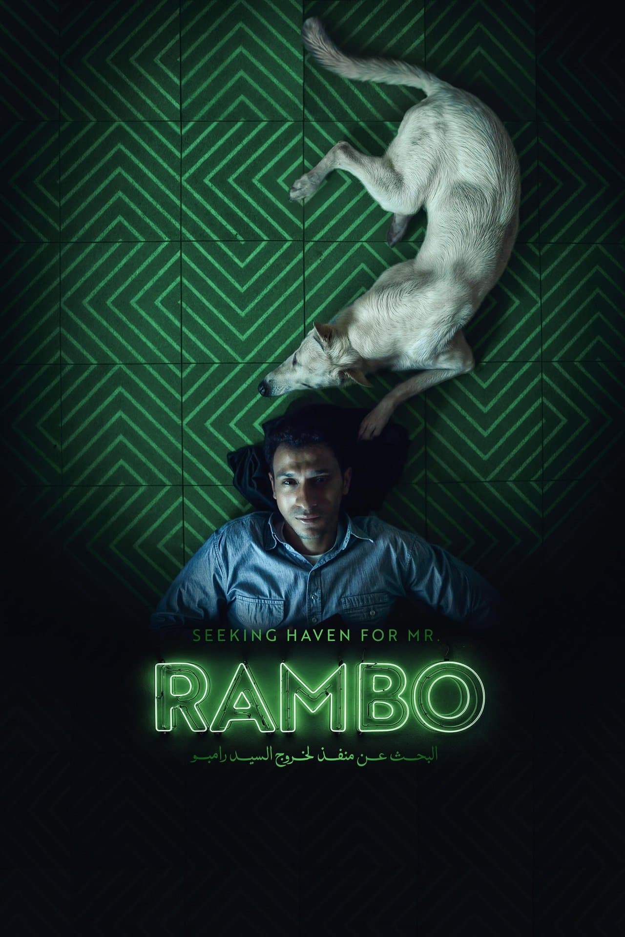Seeking Haven for Mr. Rambo preview 2