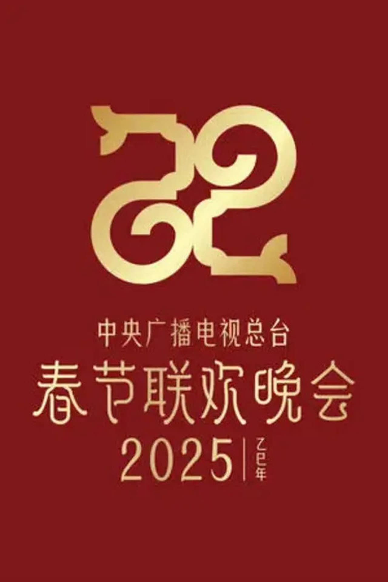 2025抖音灯火万家欢聚夜 preview 1
