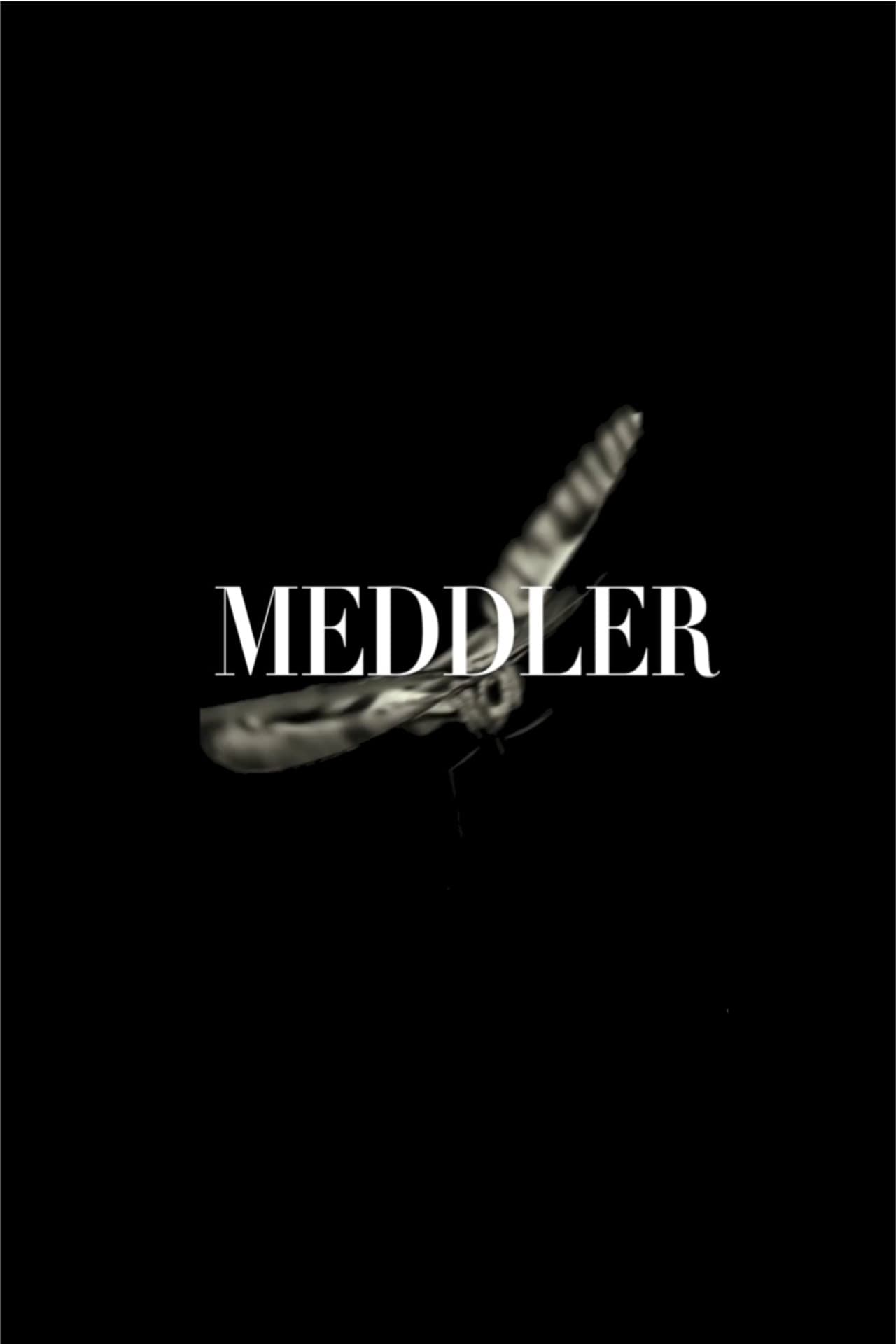 Meddler preview 2