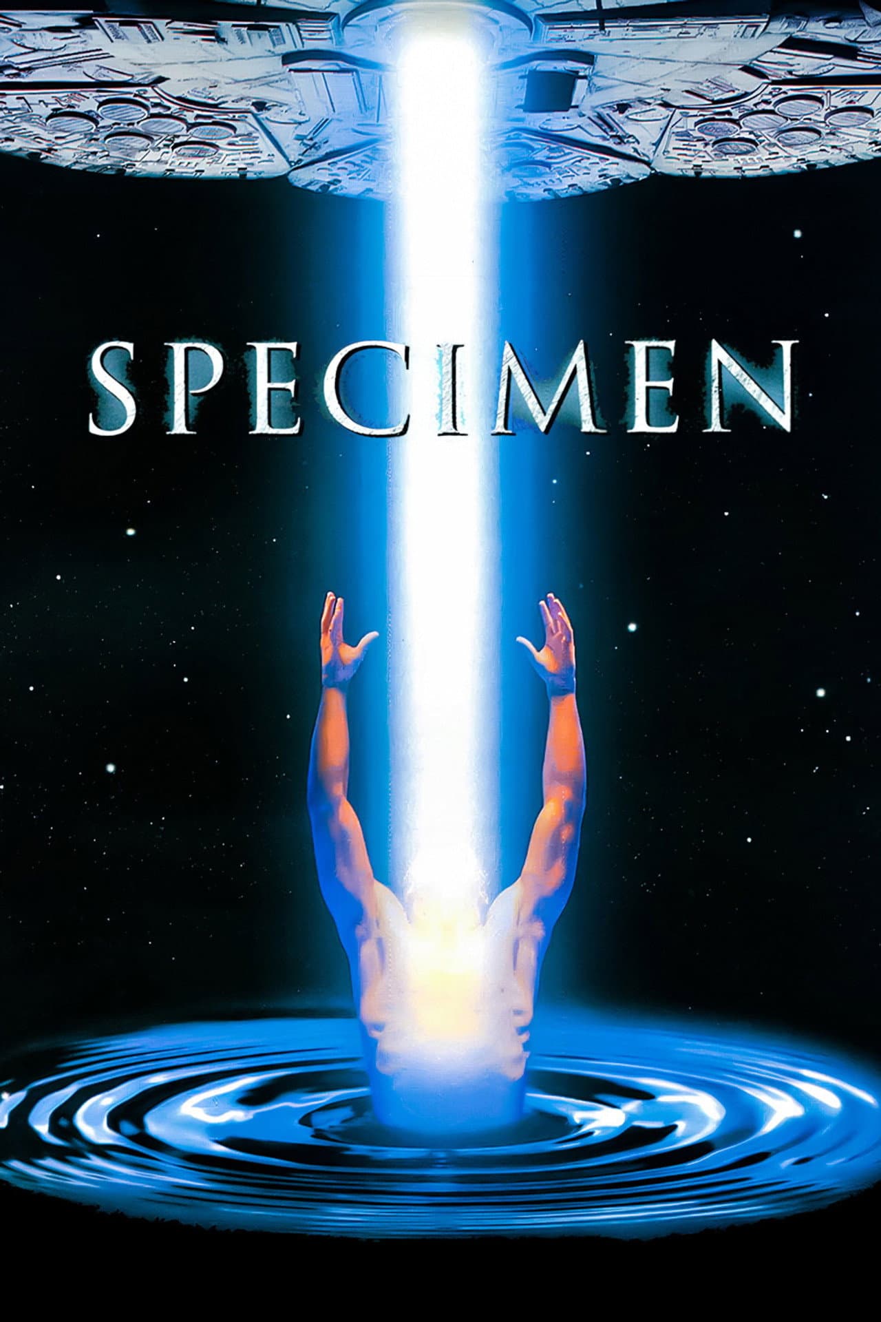 Specimen preview 2