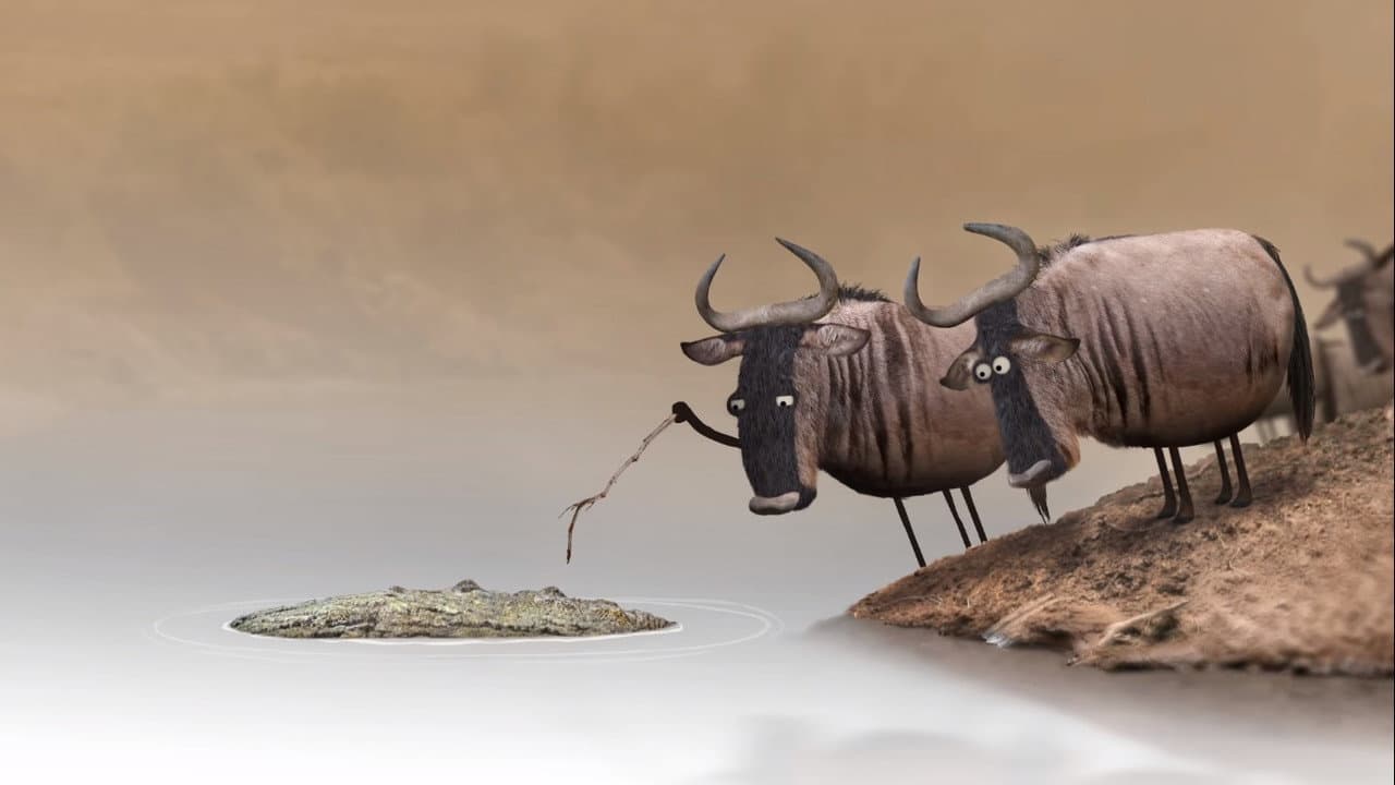 Wildebeest