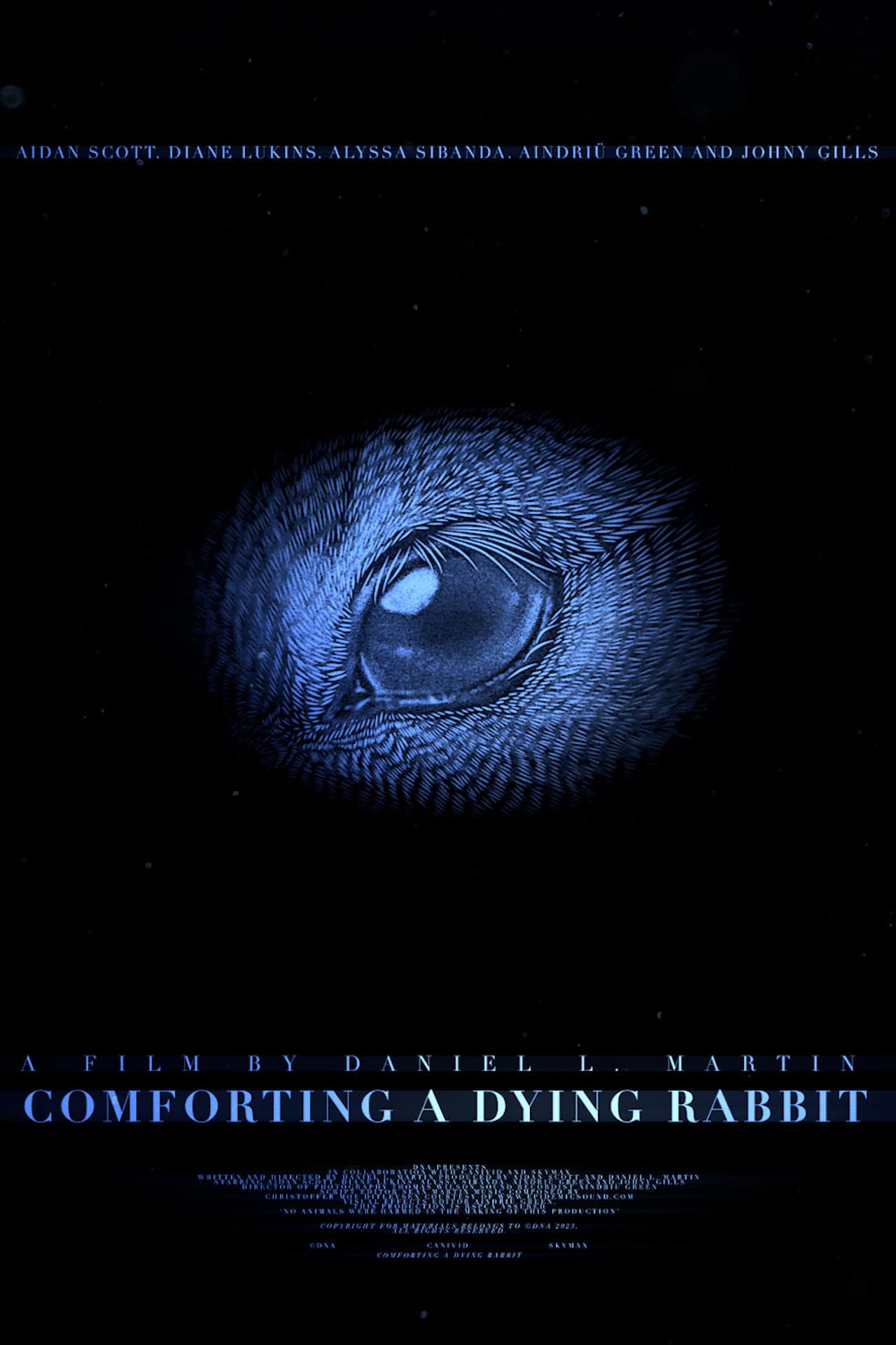 Comforting A Dying Rabbit preview 2