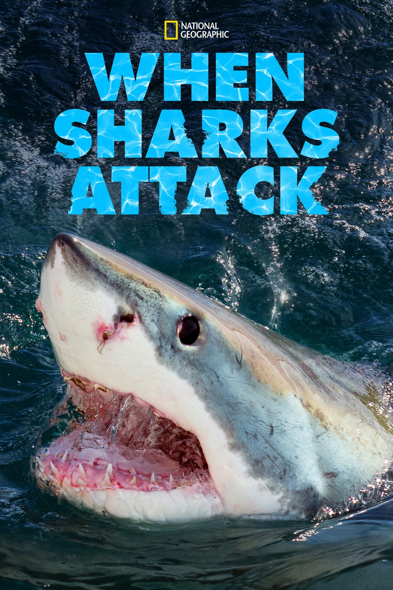 When Sharks Attack preview 2