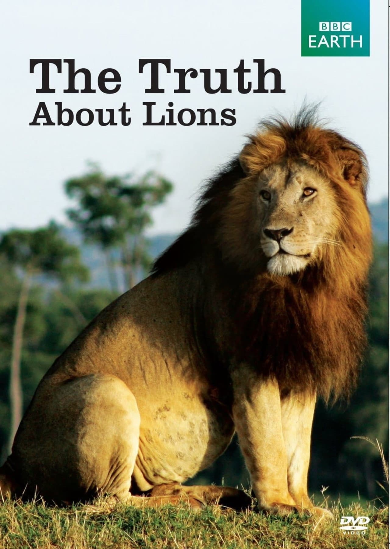 The Truth About Lions preview 1