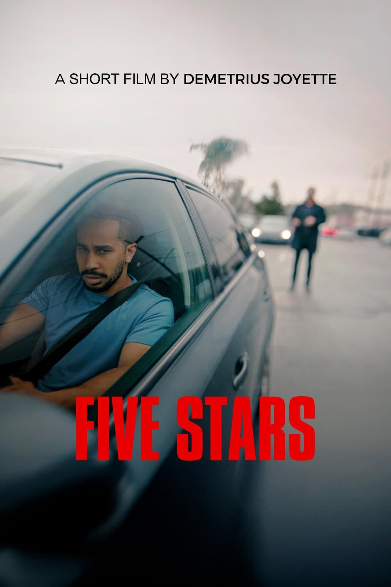 Five Stars preview 2
