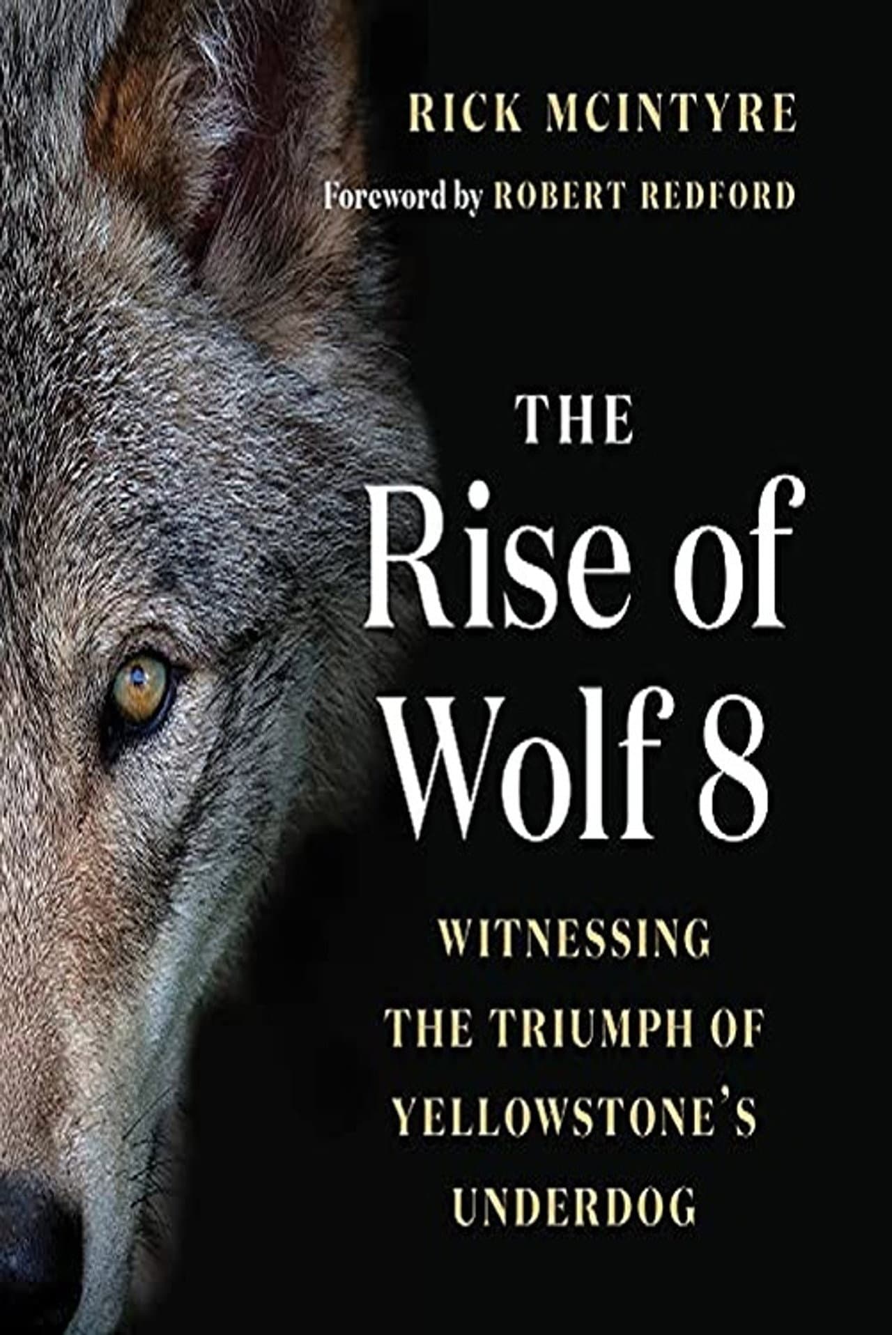 The Alpha Wolves of Yellowstone preview 1