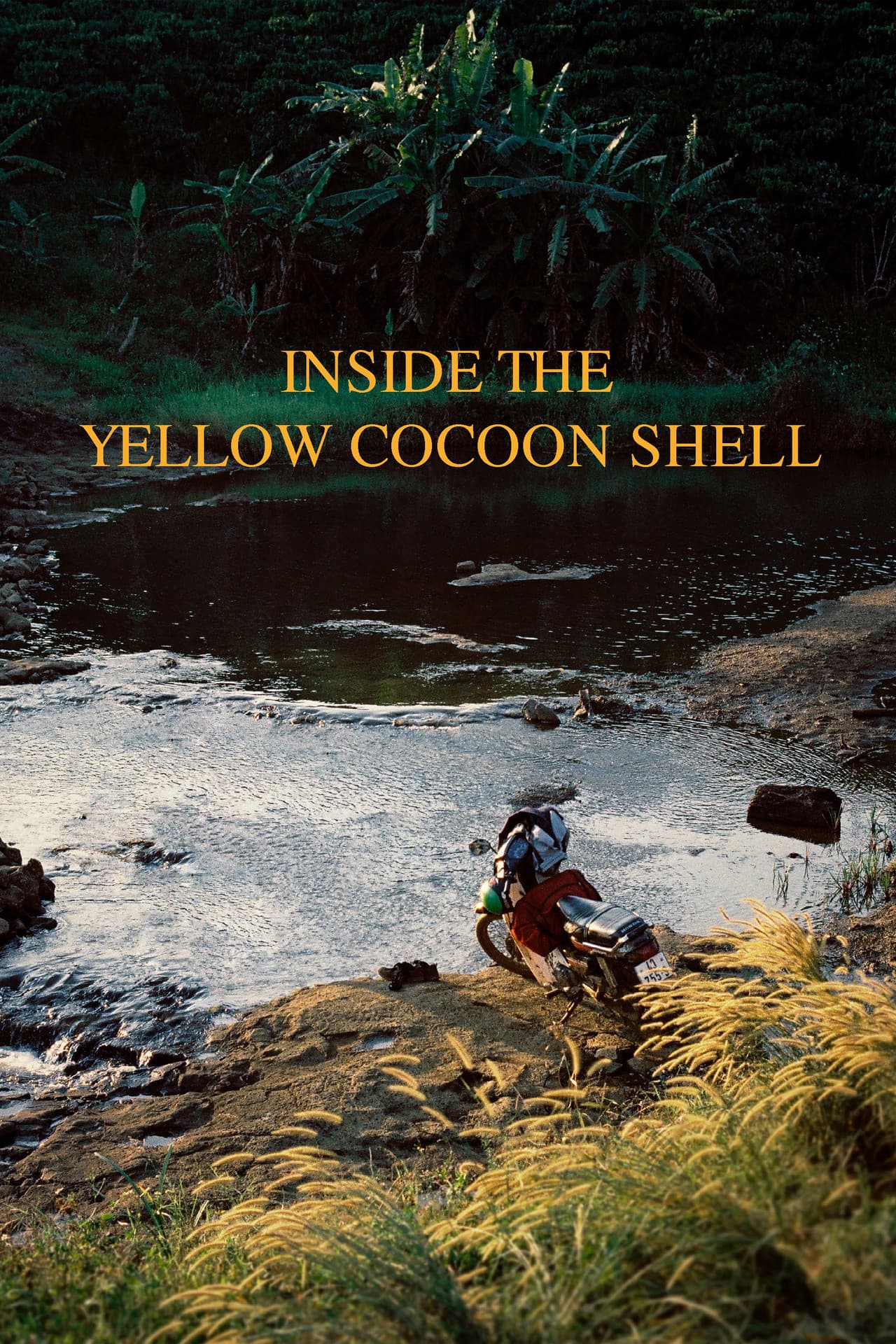 Inside the Yellow Cocoon Shell preview 2