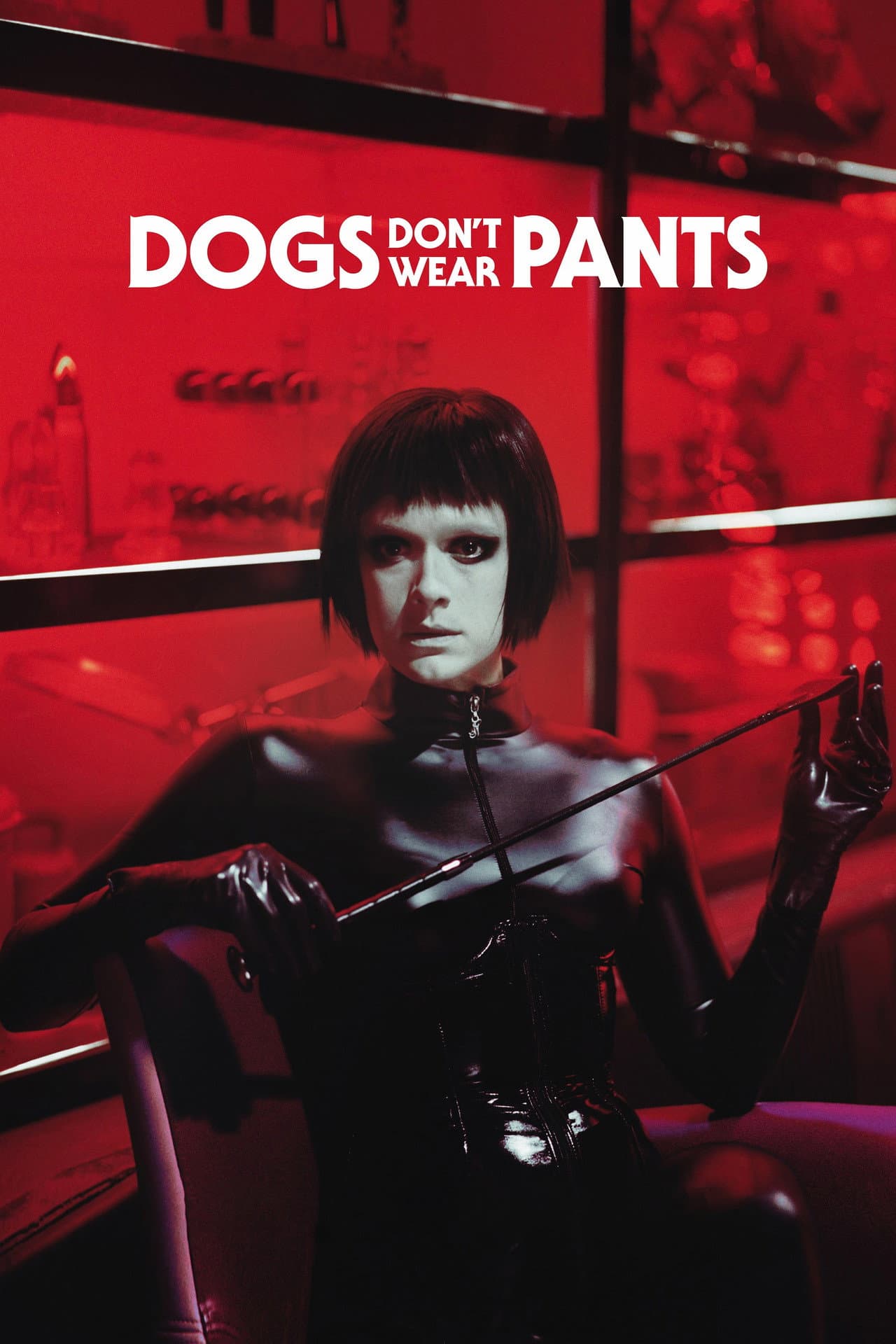 Dogs Don't Wear Pants preview 2