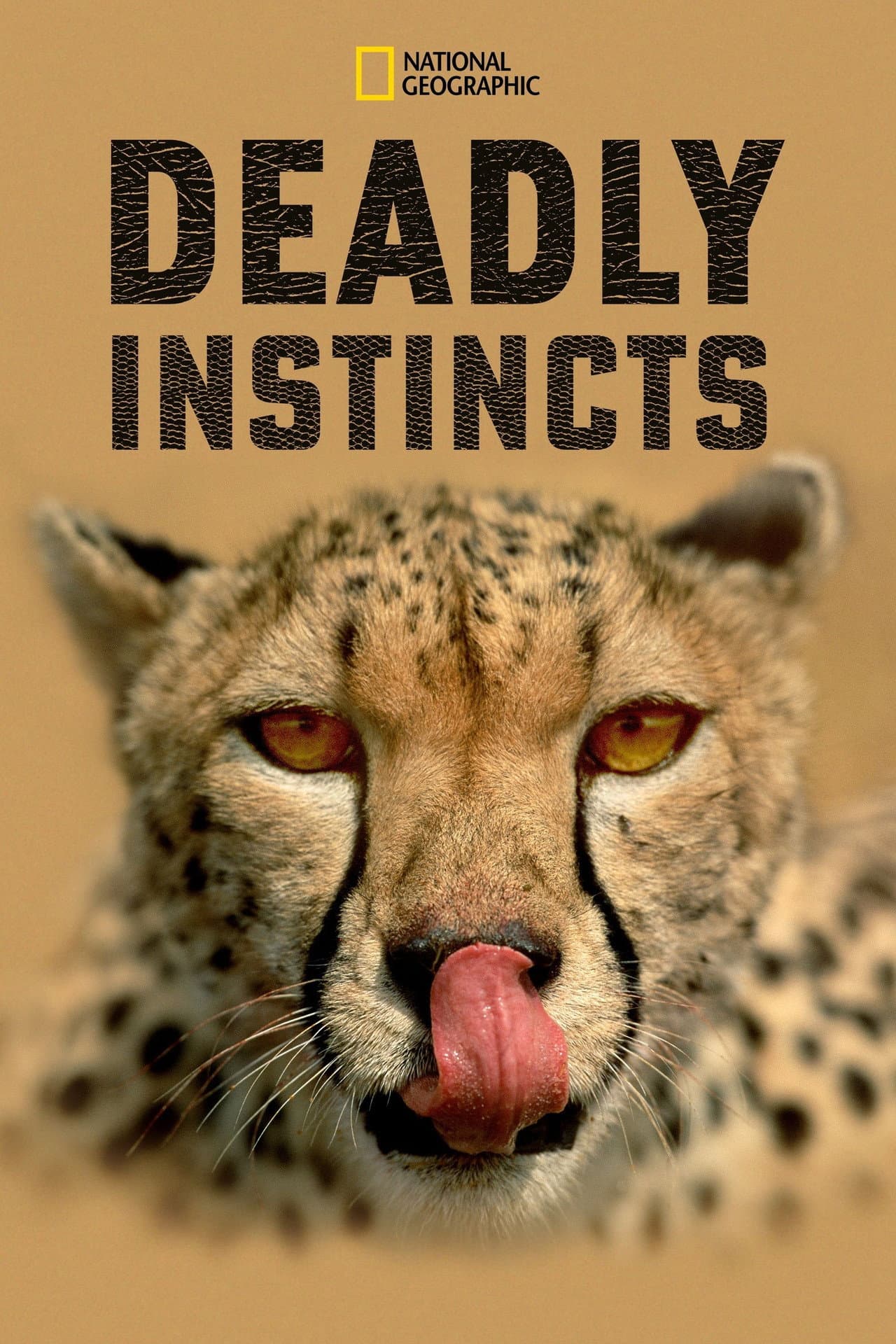 Deadly Instincts preview 2