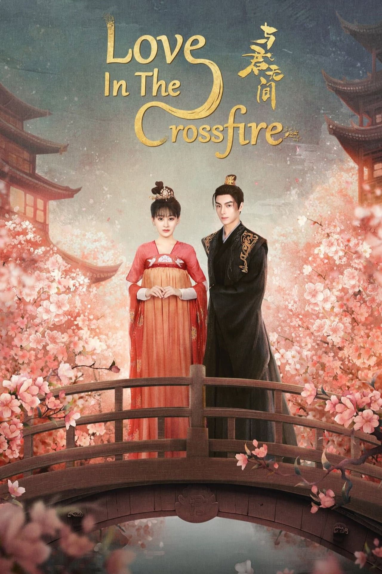 Love in the Crossfire preview 2