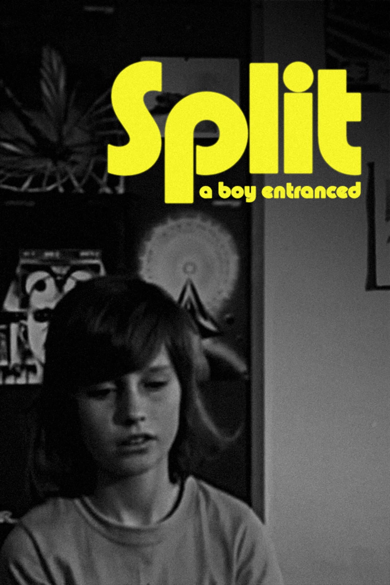 Split preview 2