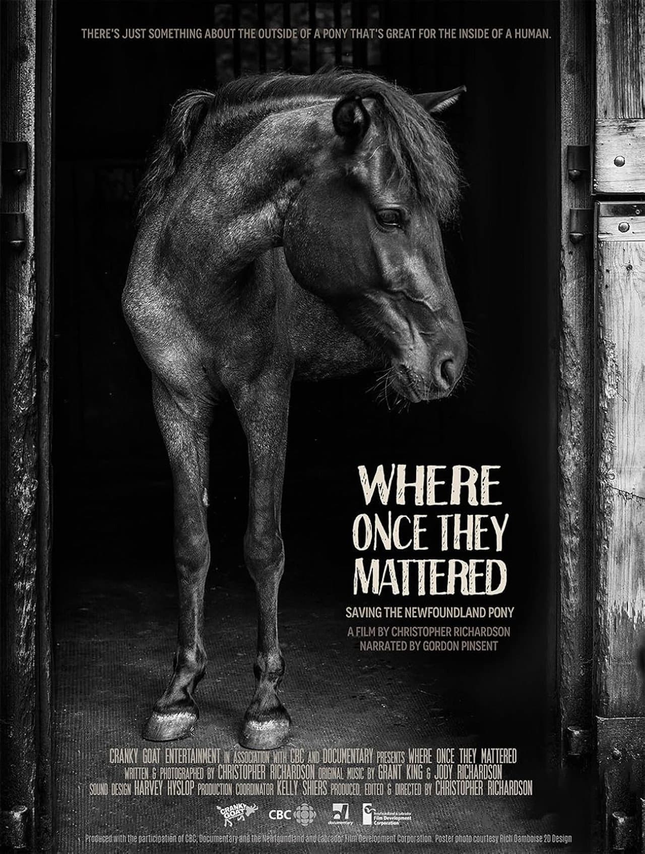 Where Once They Mattered preview 1
