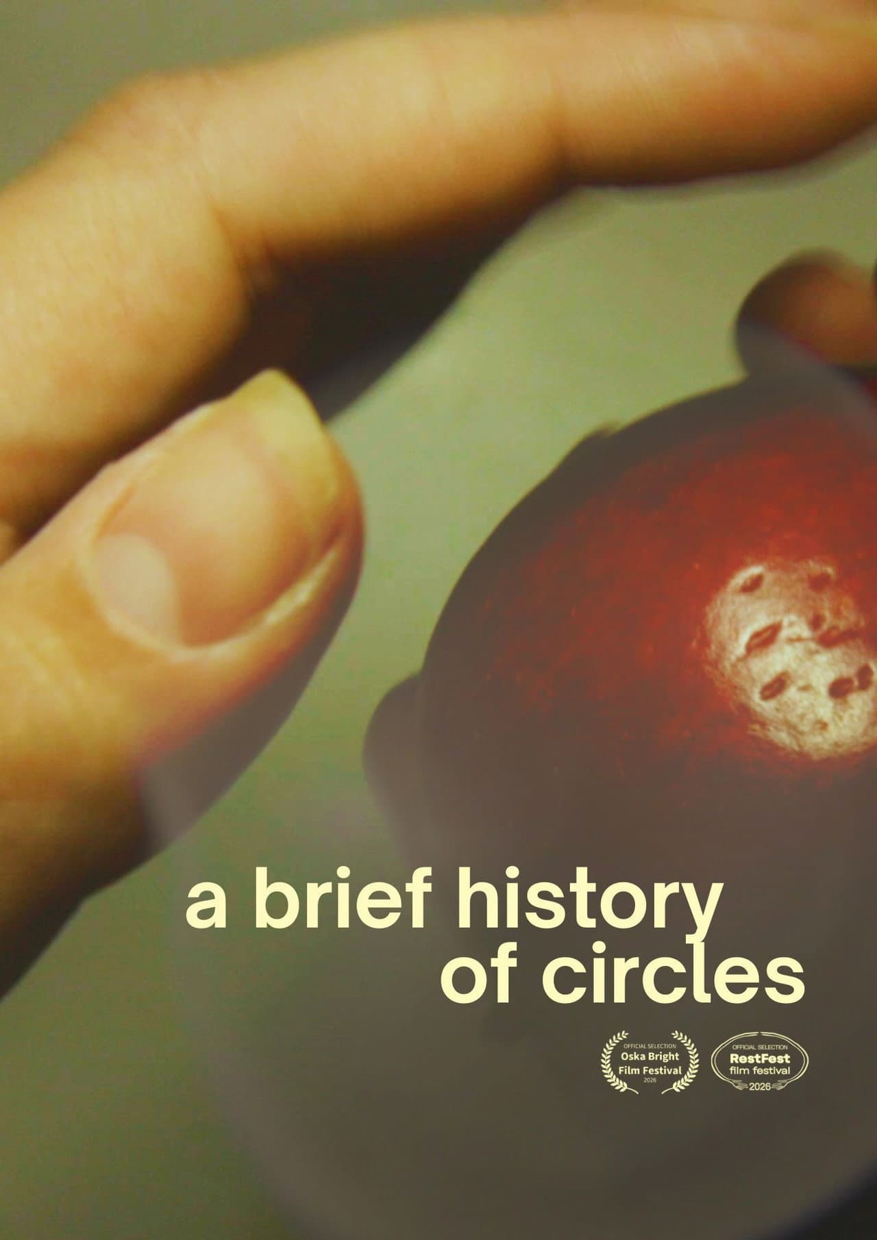 A Brief History of Circles preview 1