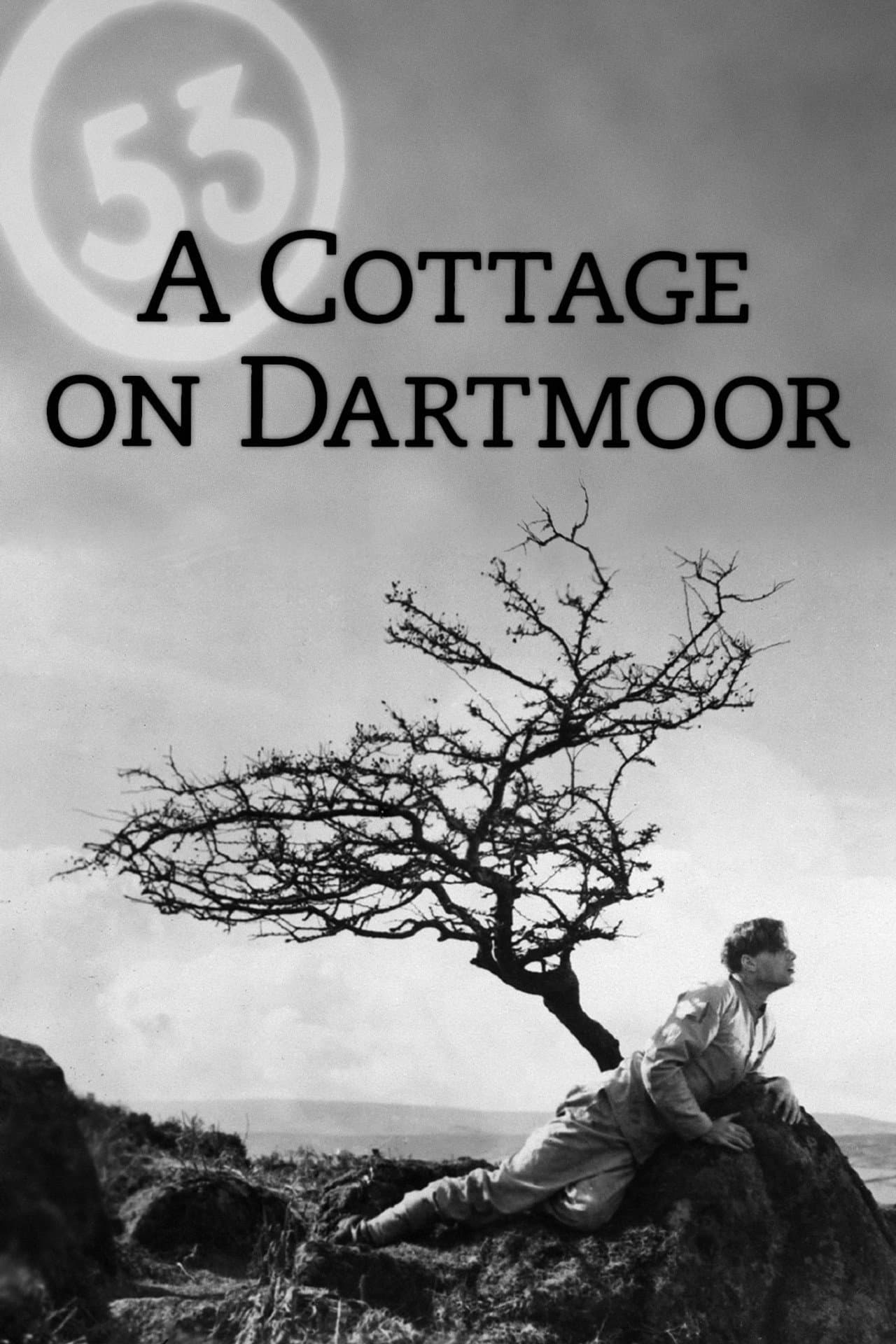 A Cottage on Dartmoor preview 2
