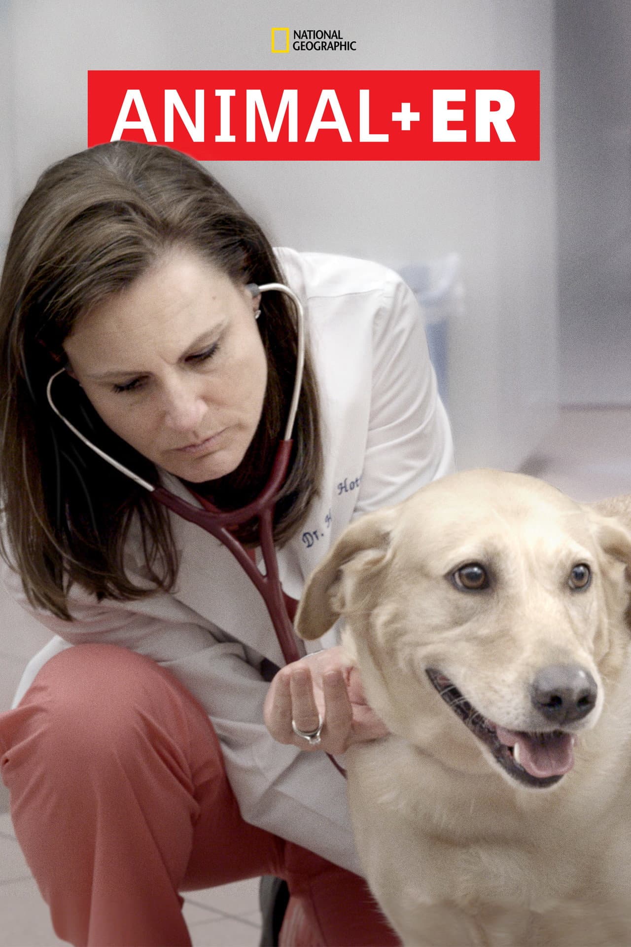 Animal ER preview 2