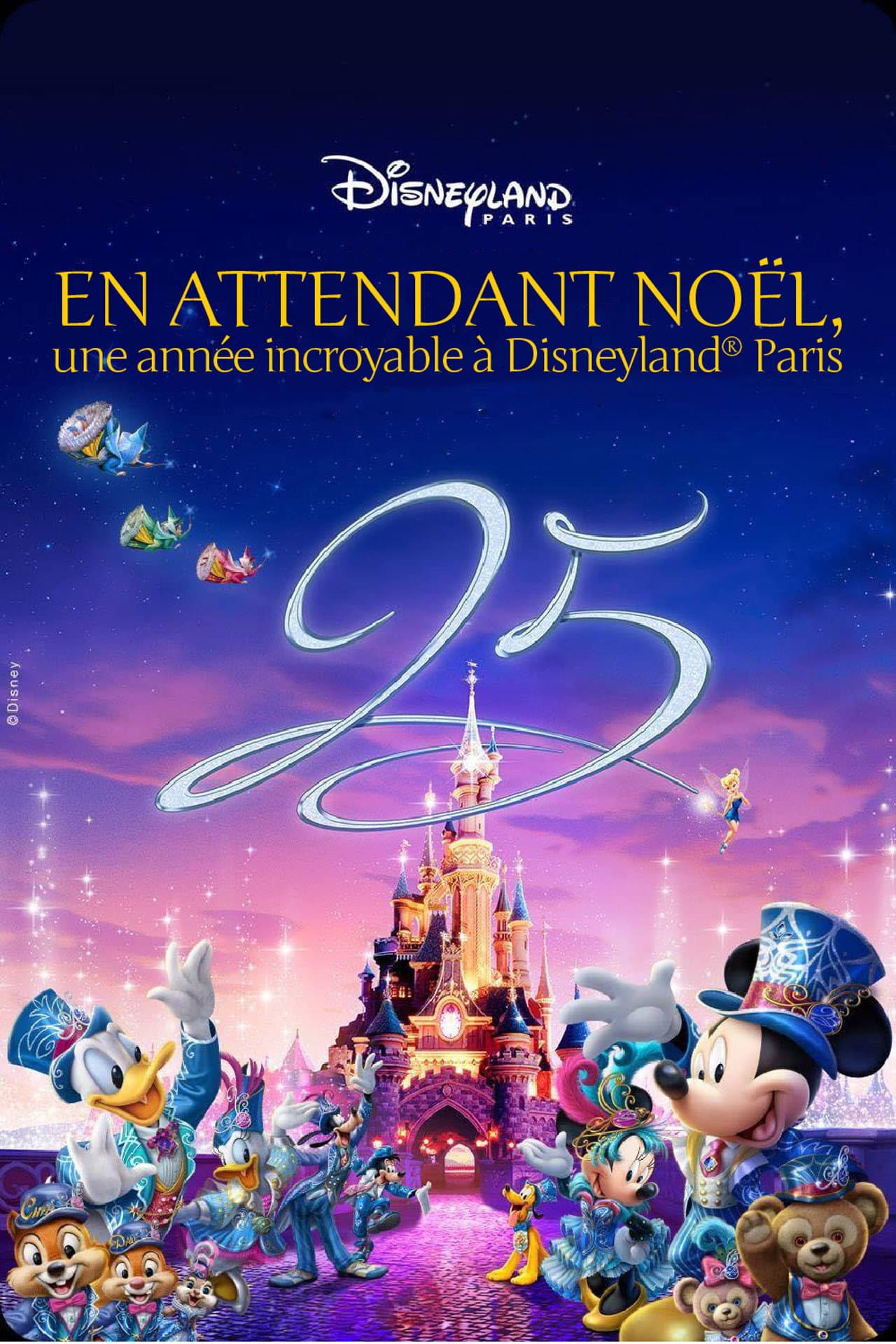 Waiting for Christmas: An Incredible Year at Disneyland Paris preview 2