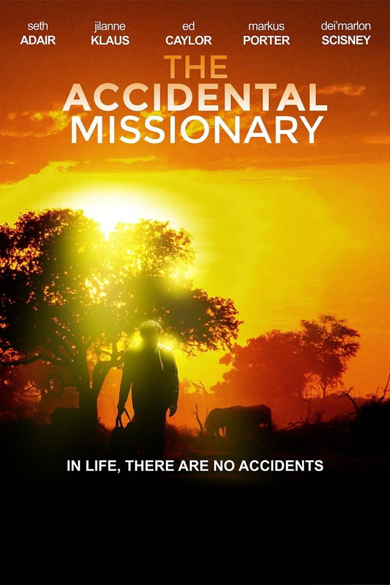 The Accidental Missionary preview 1