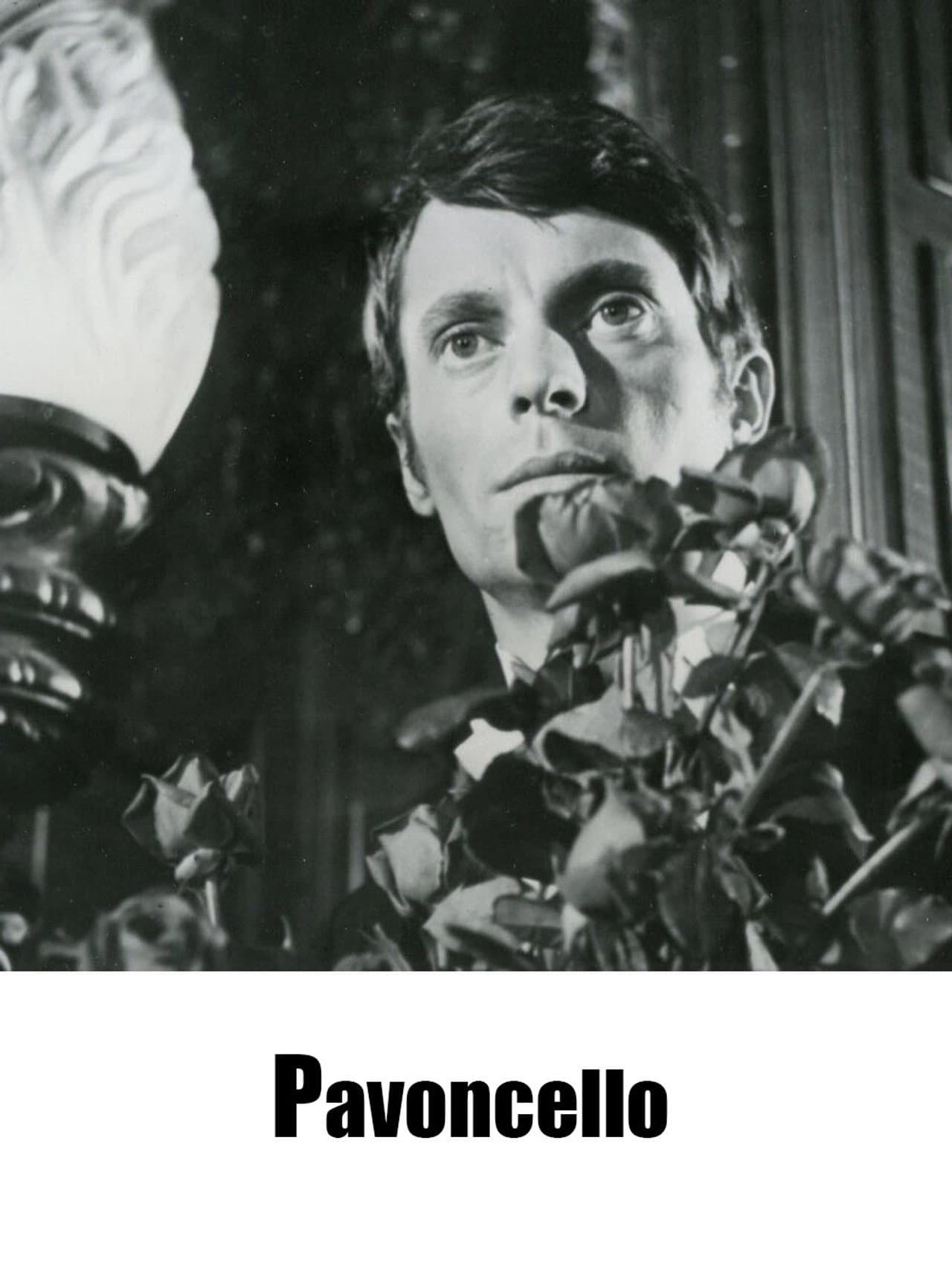 Pavoncello preview 2