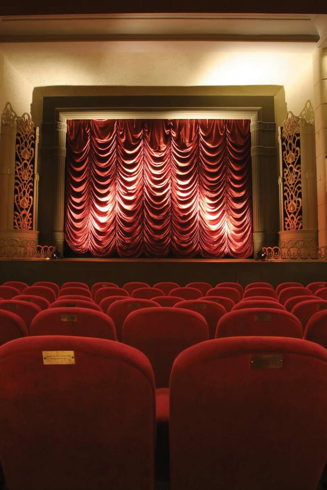 The Dream Palace: A People's History of Tyneside Cinema preview 1