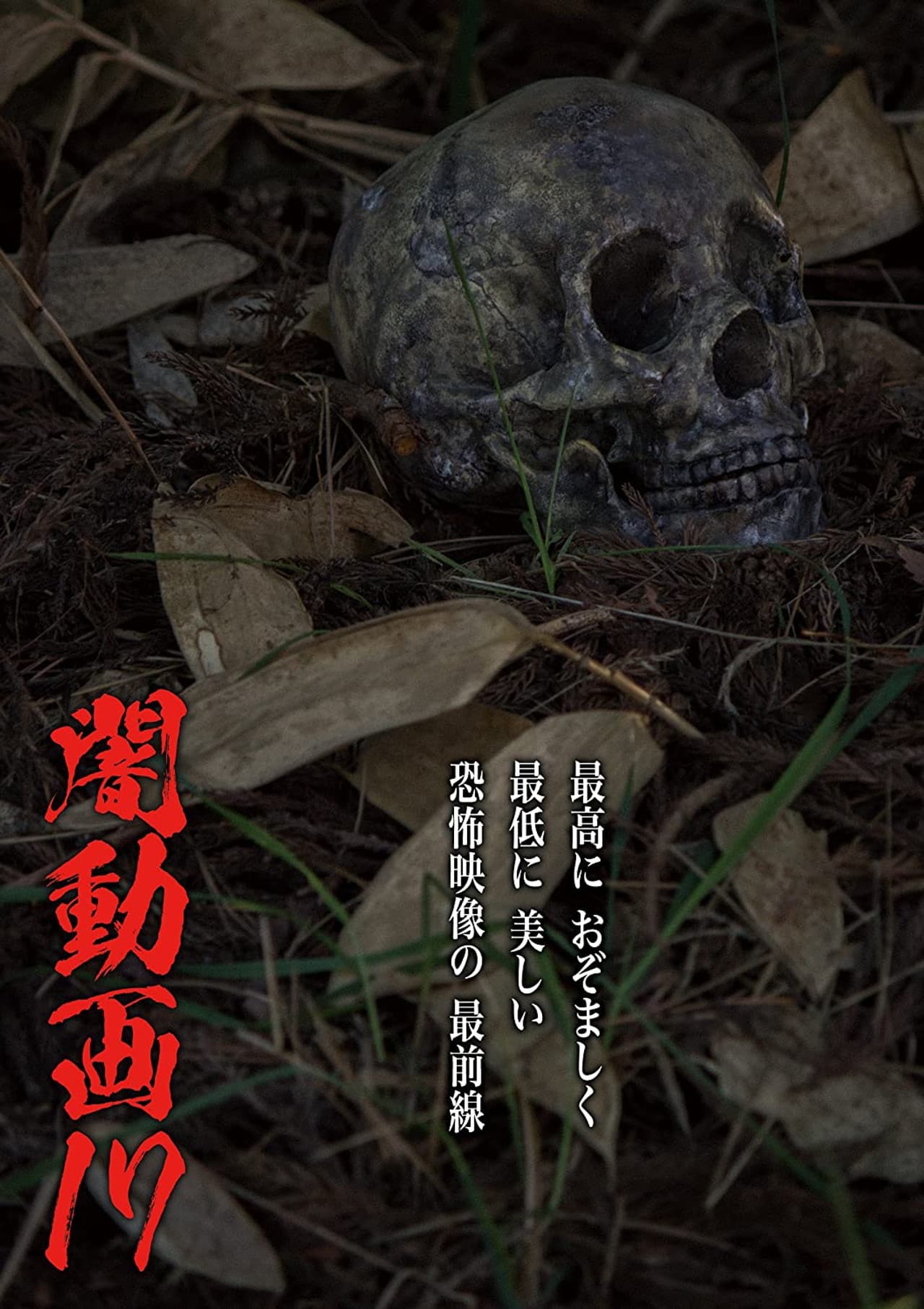 Tokyo Videos of Horror 17 preview 2