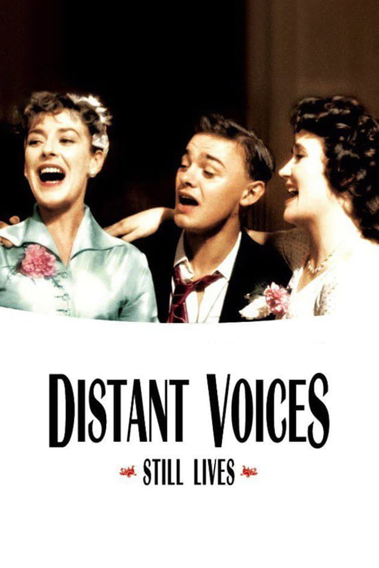 Distant Voices, Still Lives preview 2