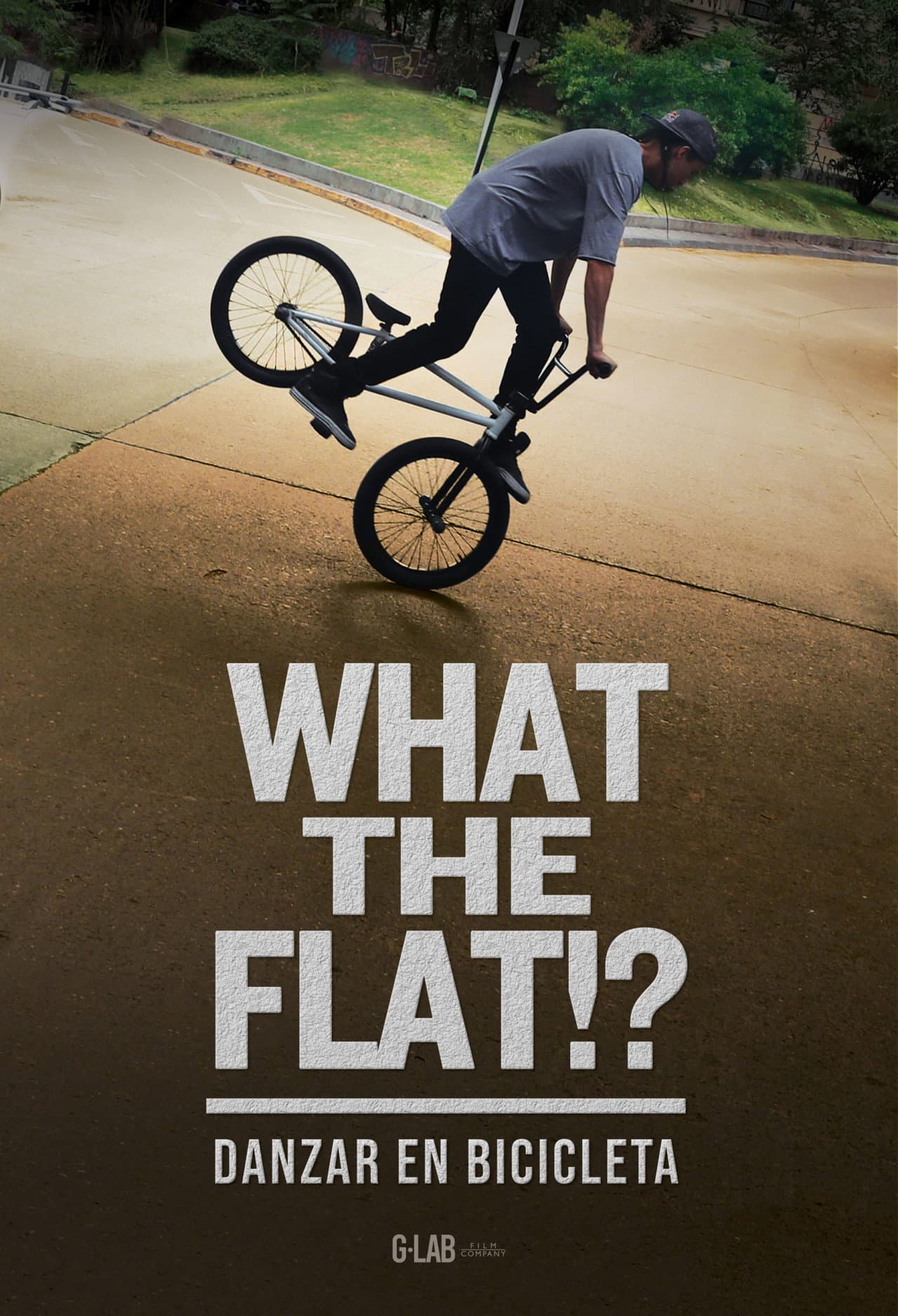 WHAT THE FLAT!? preview 2
