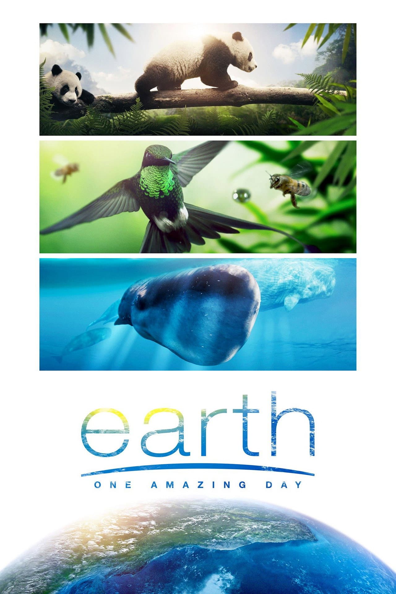 Earth: One Amazing Day preview 2