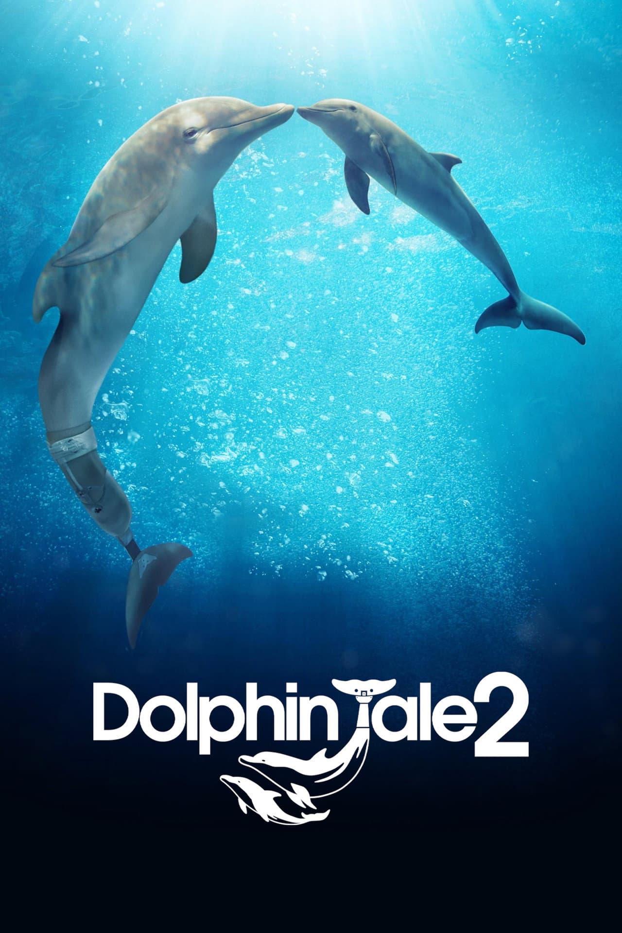 Dolphin Tale 2 preview 2