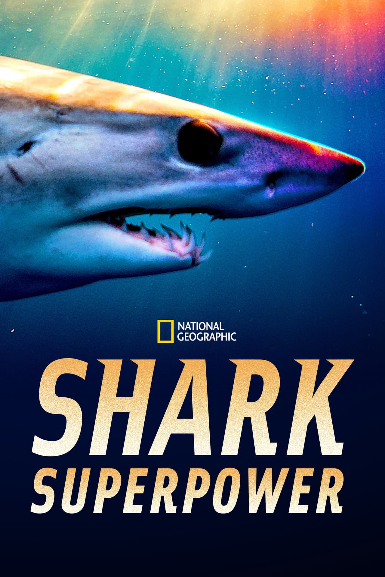 Shark Superpower preview 2