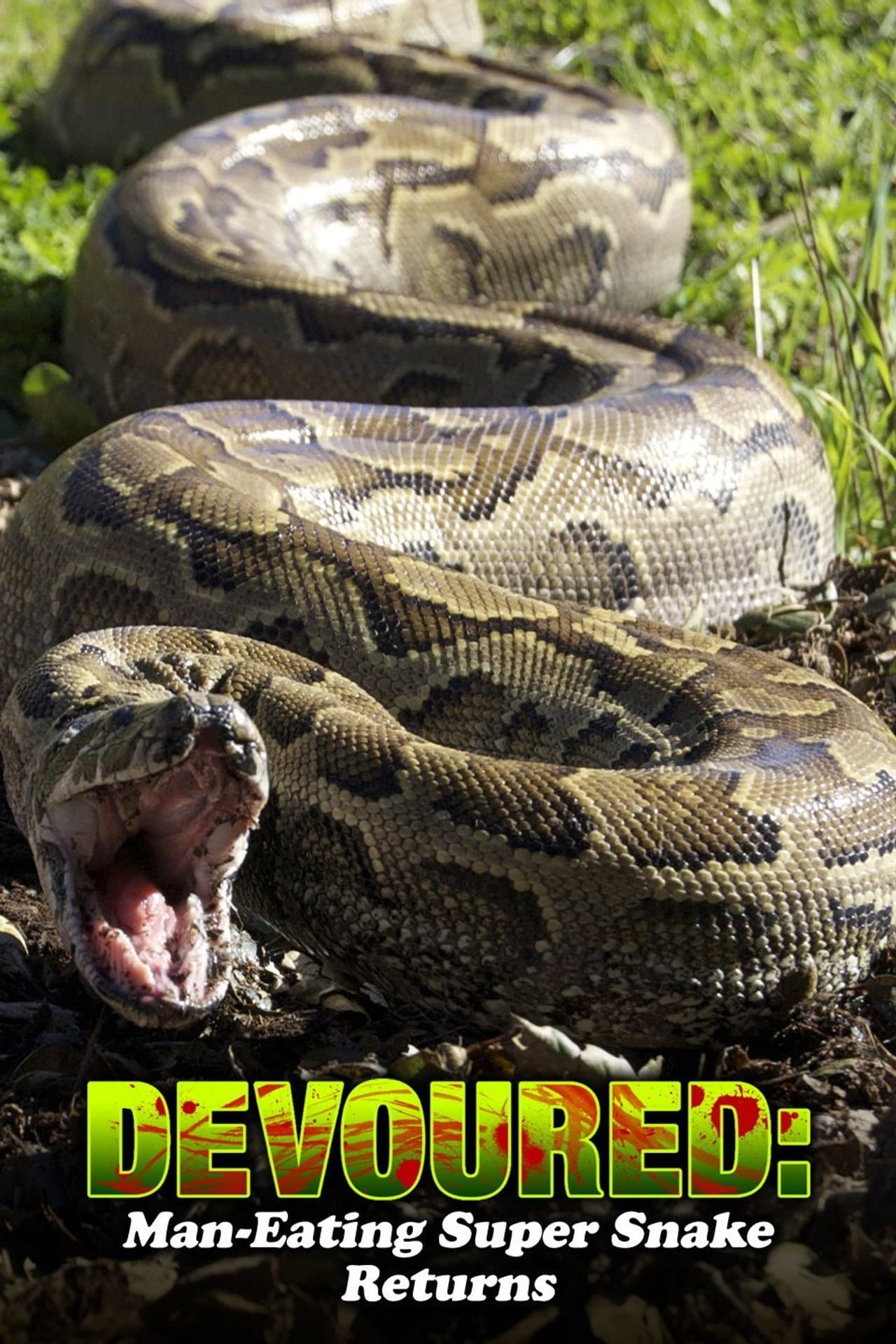 Devoured: Man-Eating Super Snake Returns preview 2
