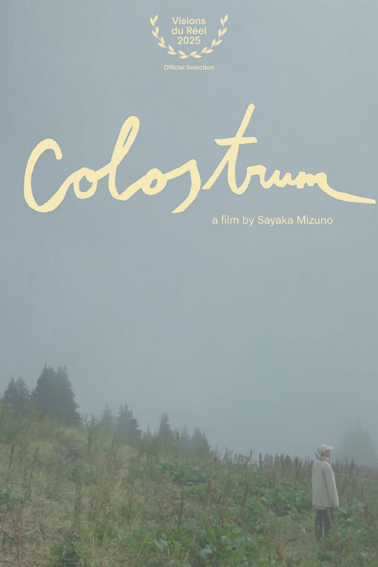 Colostrum preview 1
