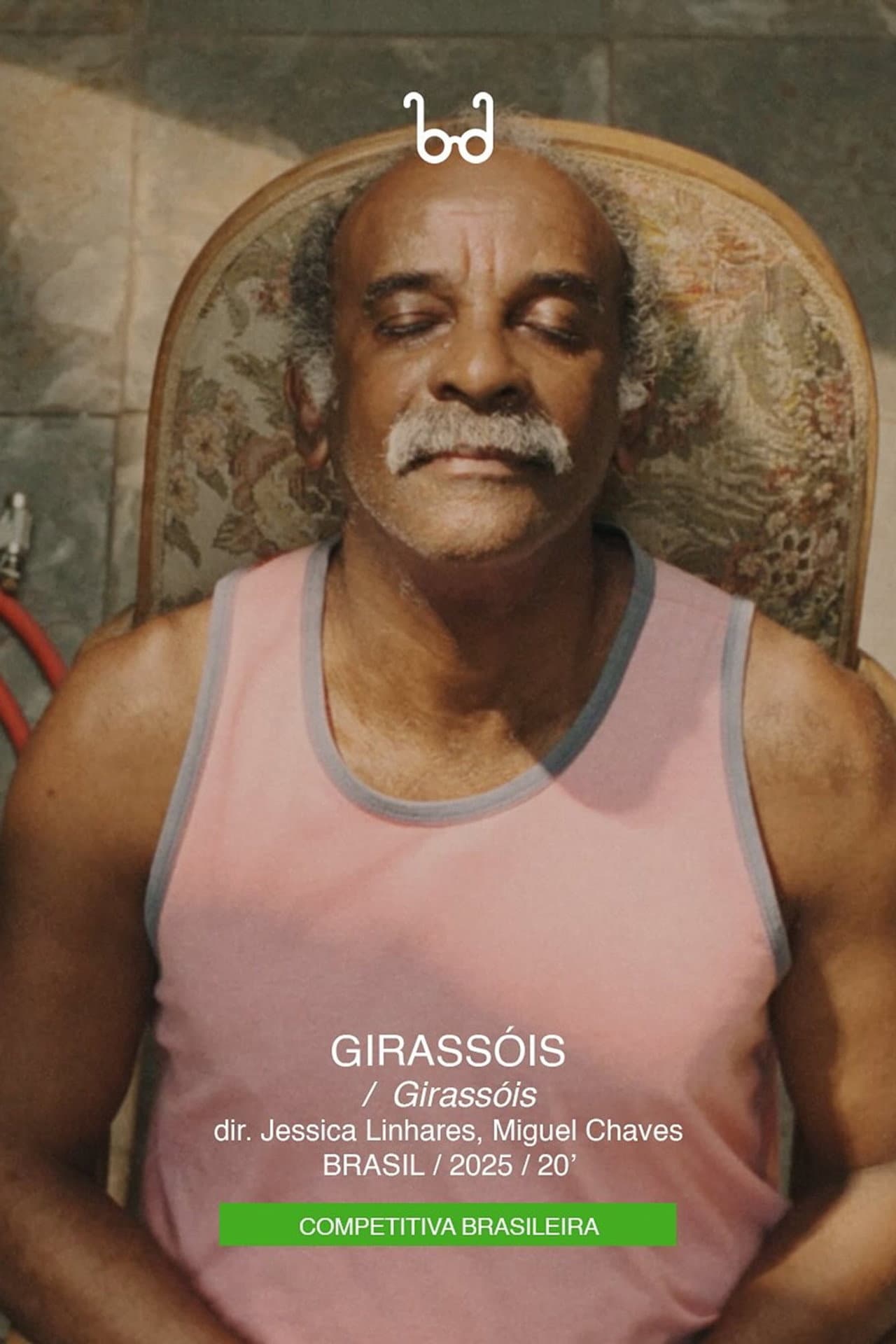 Girassóis preview 2