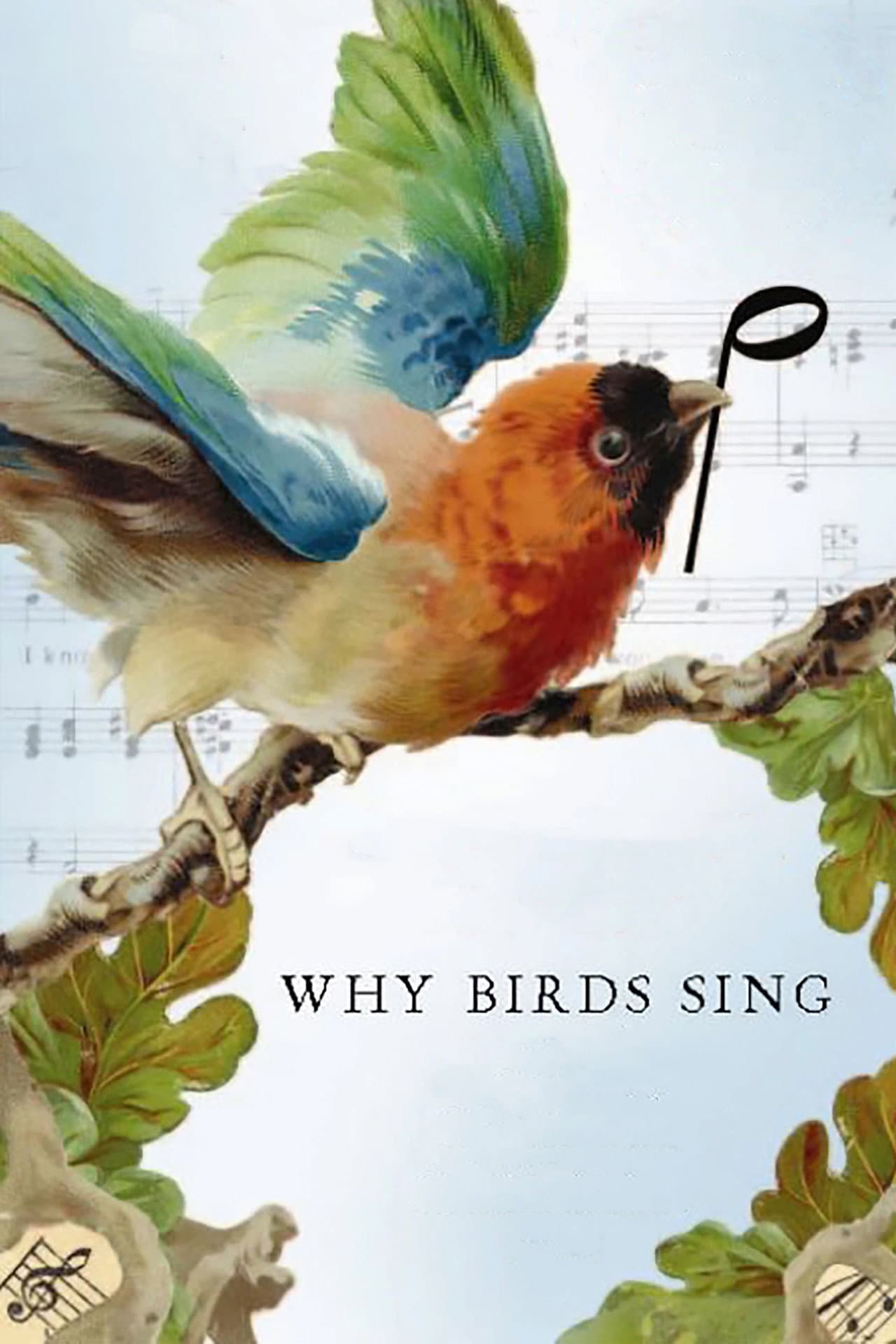 Why Birds Sing preview 2