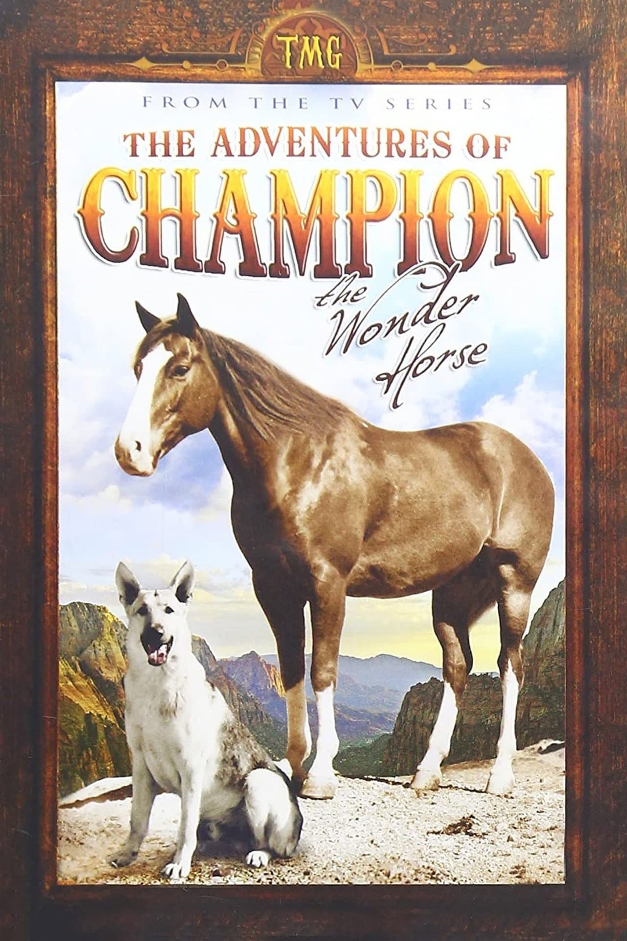 The Adventures of Champion preview 2