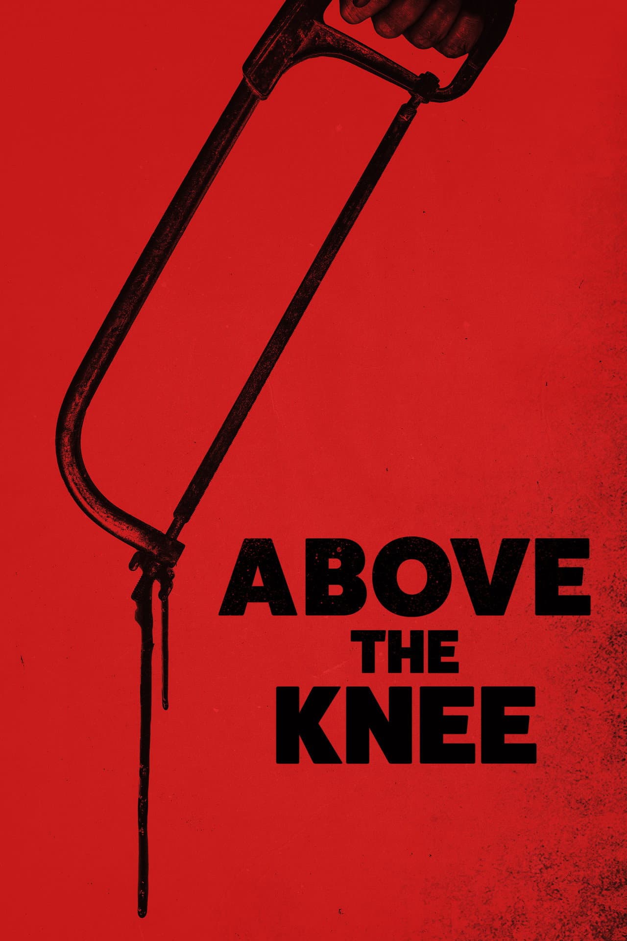 Above the Knee preview 2