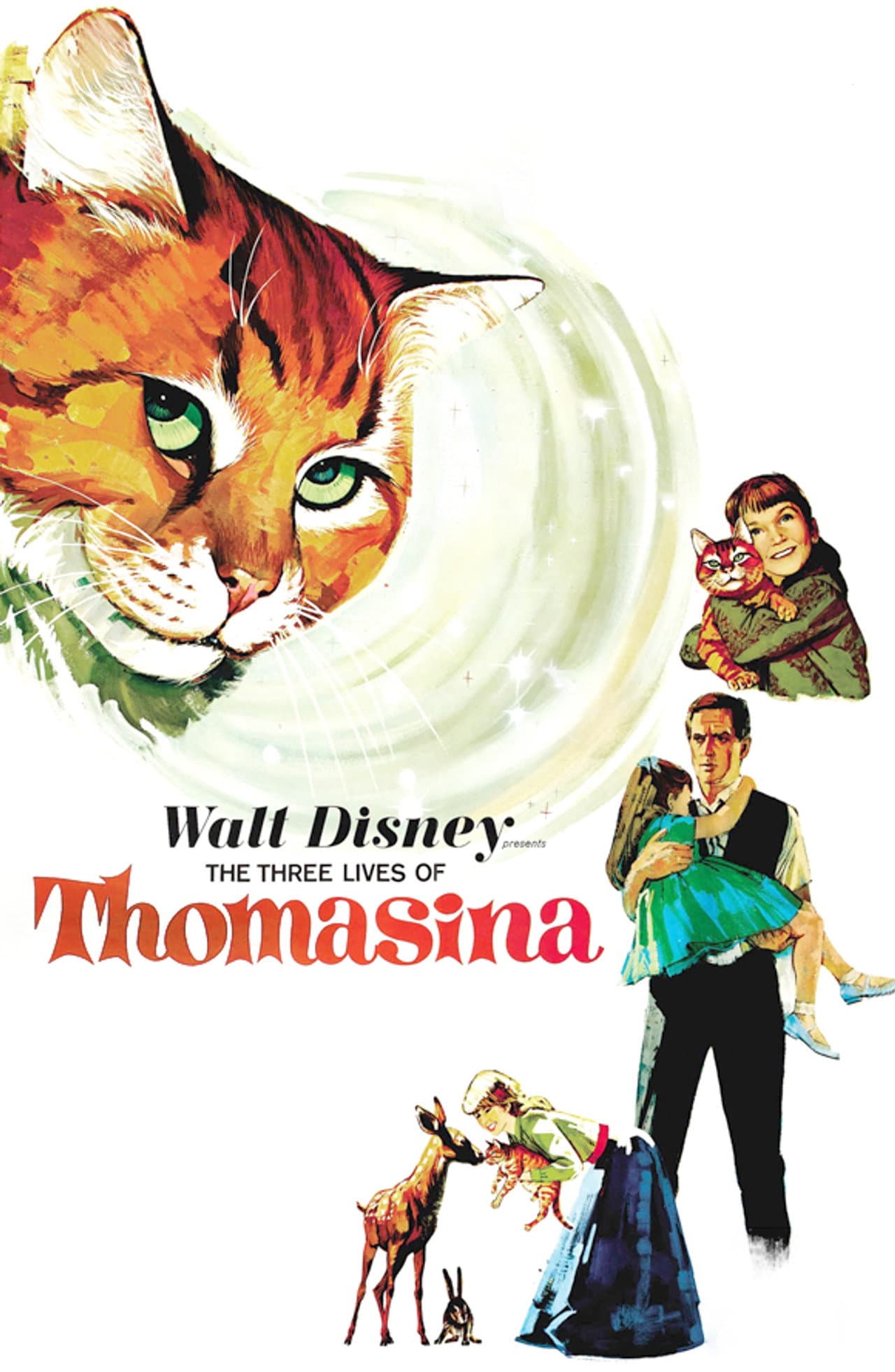 The Three Lives of Thomasina preview 2