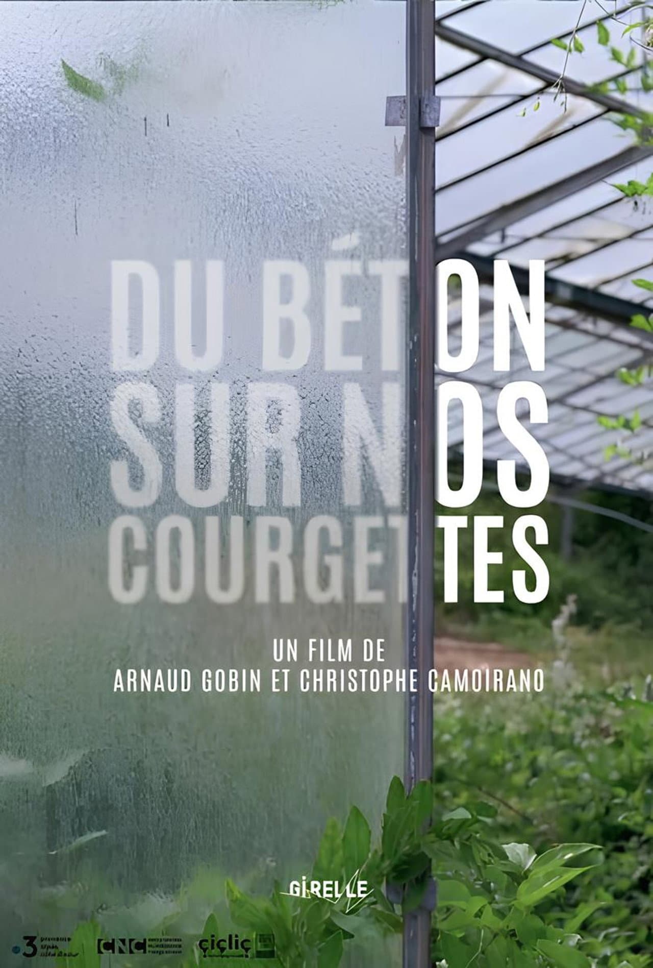 Du béton sur nos courgettes preview 1