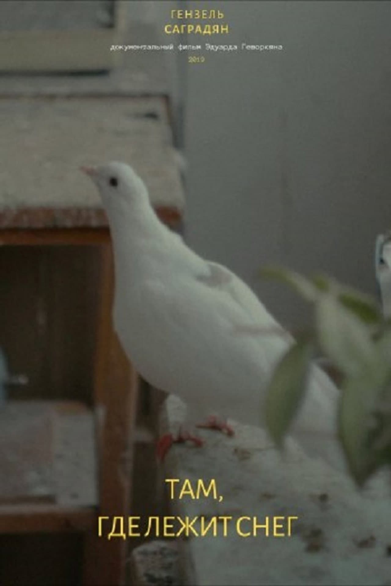 There Where The Snow Lies preview 1