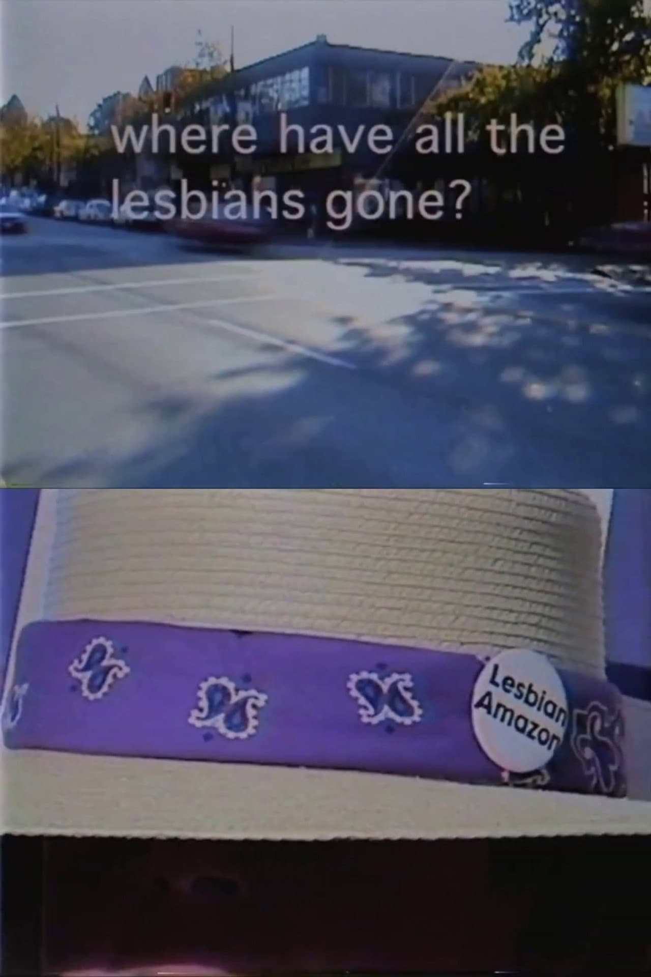 Where Have All the Lesbians Gone? preview 2