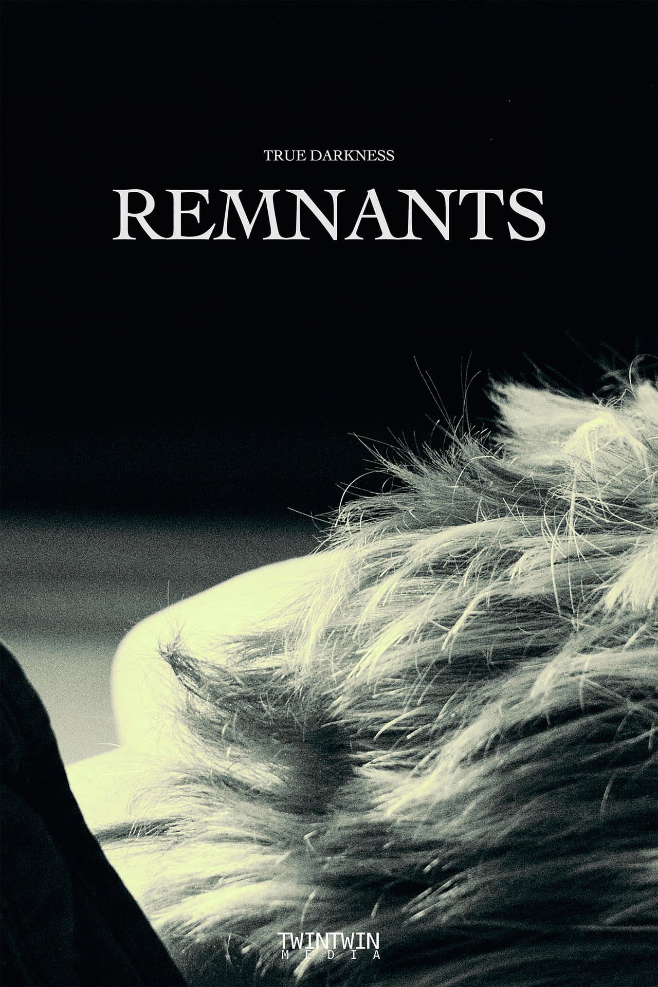 TRUE DARKNESS: REMNANTS preview 2
