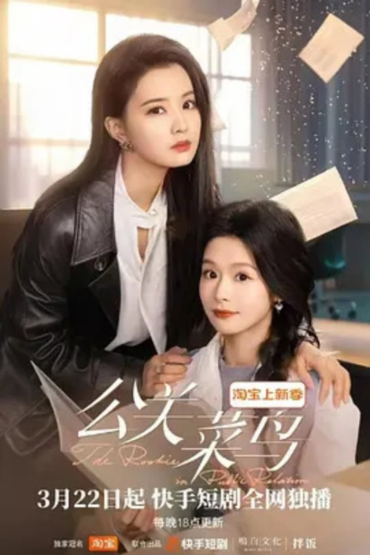 The Rookie in Public Relations preview 1