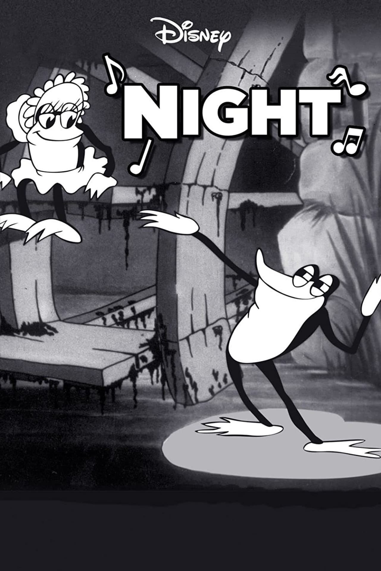 Night preview 2