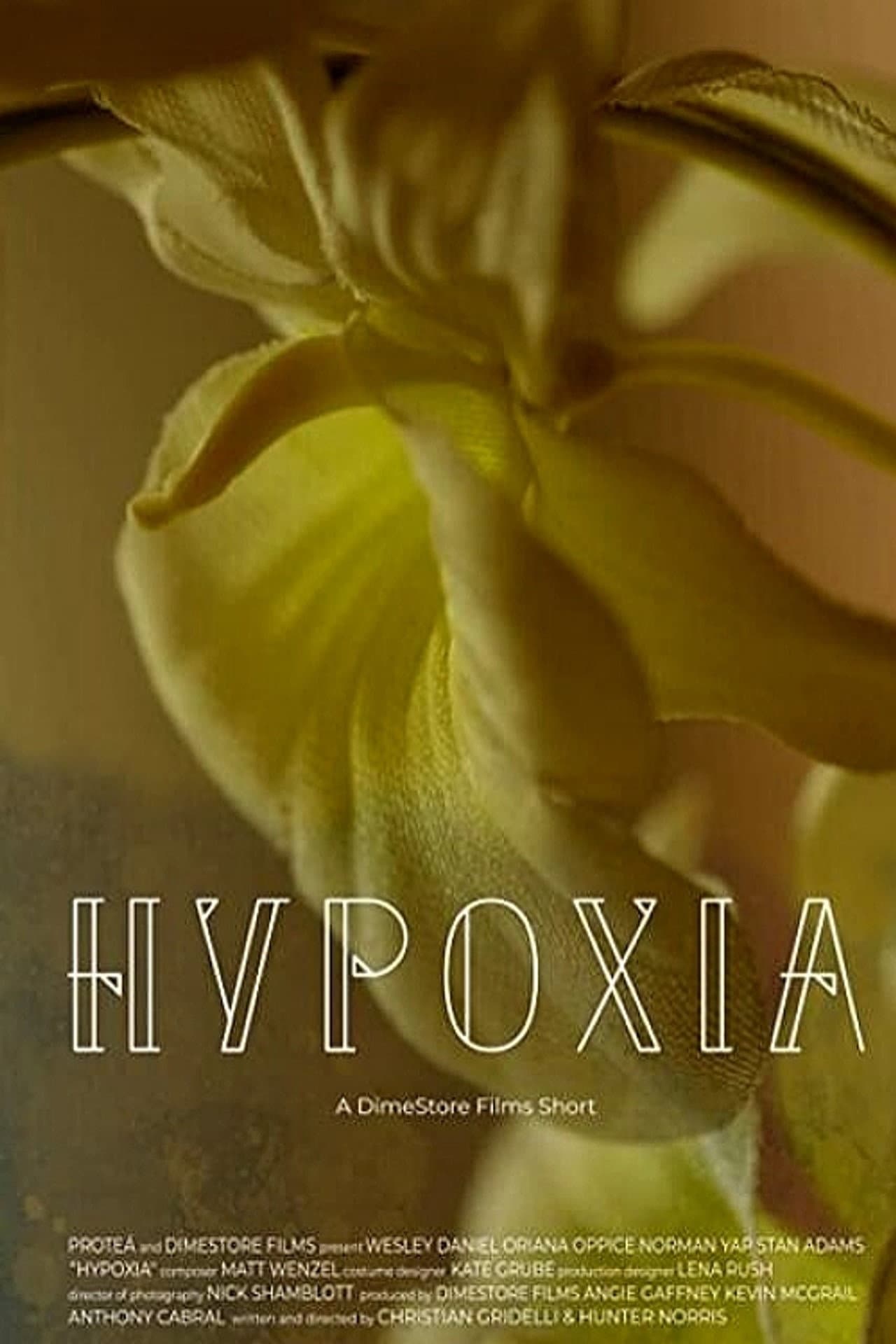 Hypoxia preview 1