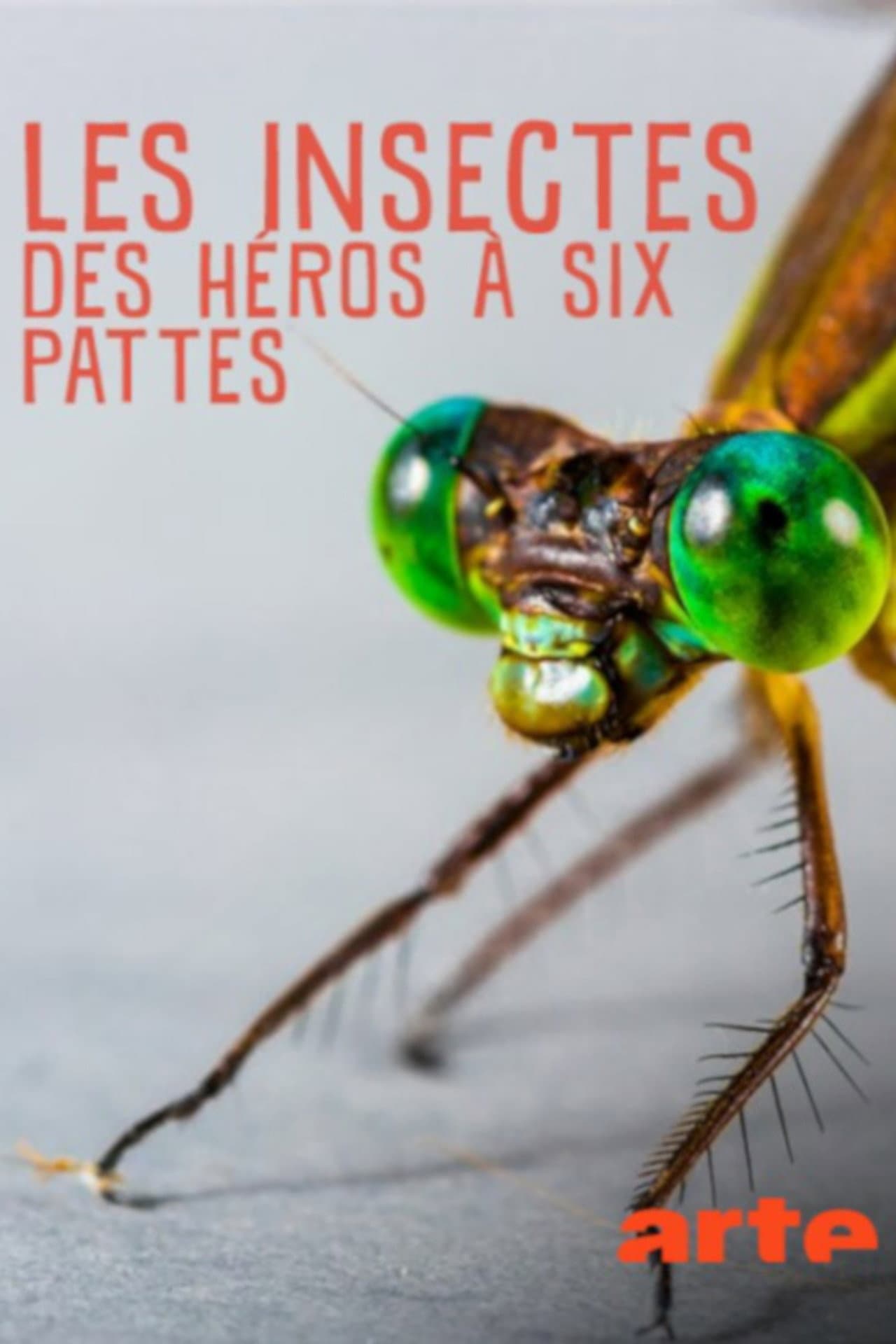 Insekten, Superhelden auf sechs Beinen preview 1