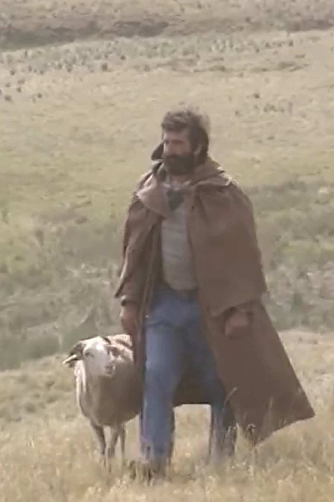Shepherd and beyond preview 2