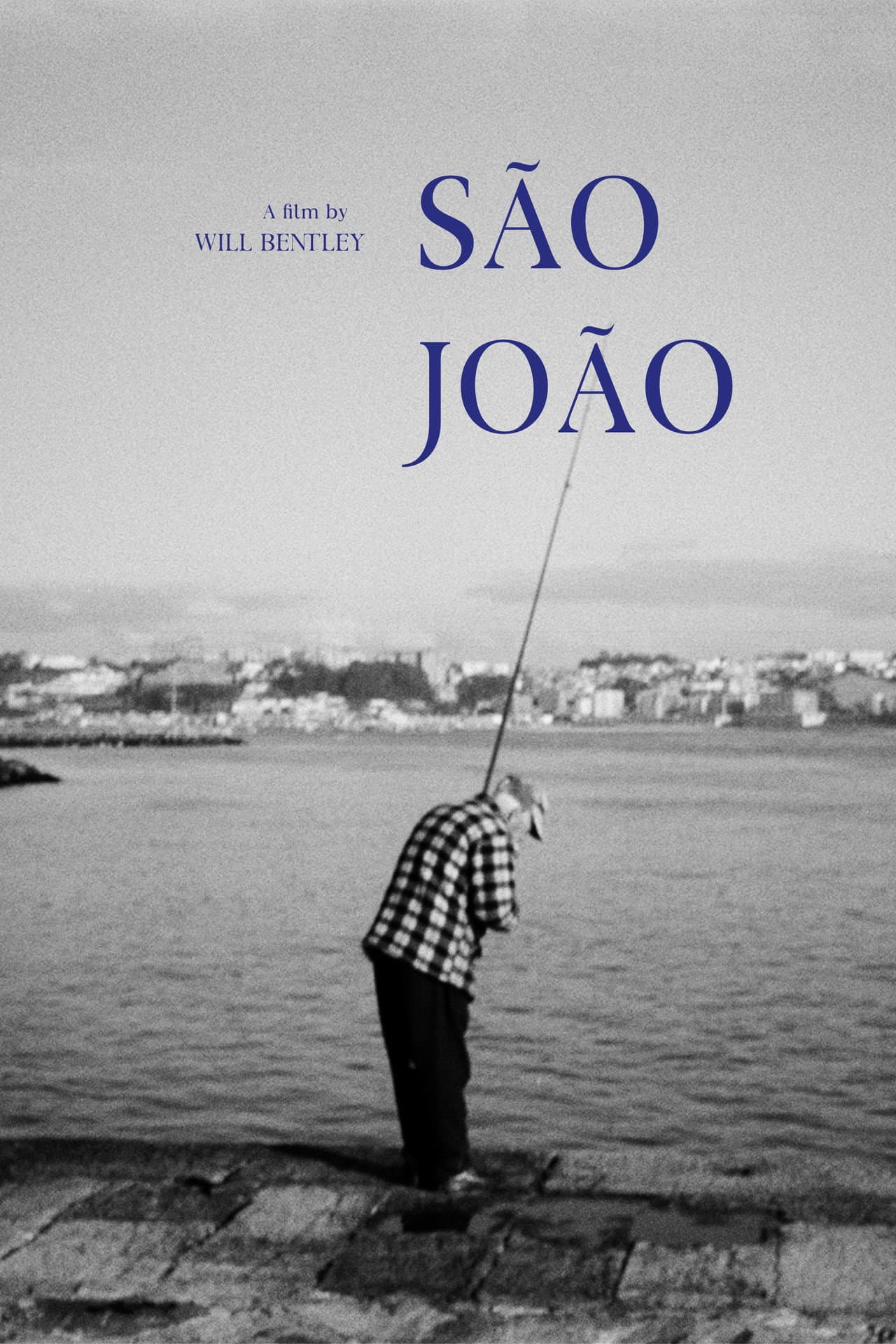 São João preview 1