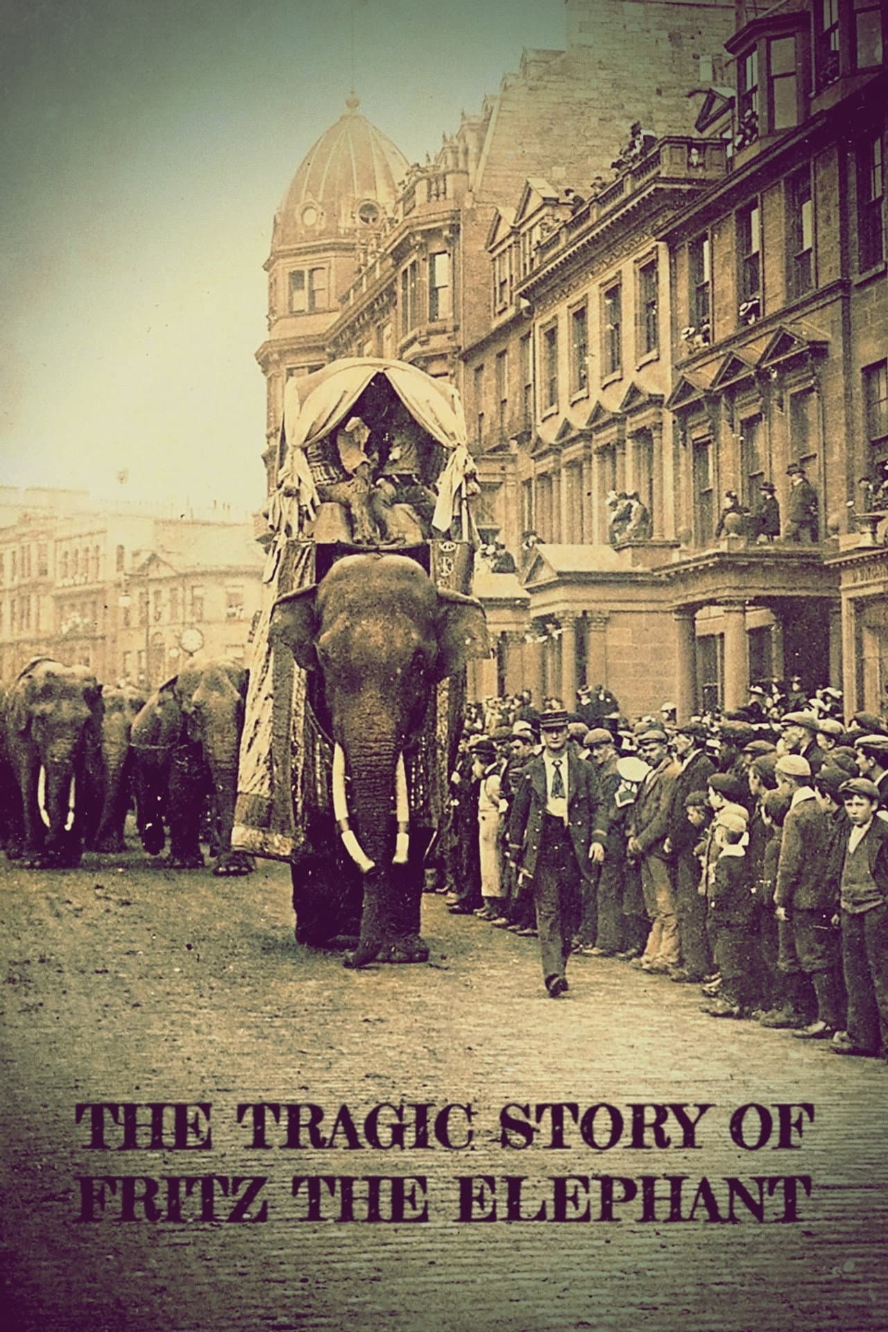 The Tragic Story of Fritz the Elephant preview 2